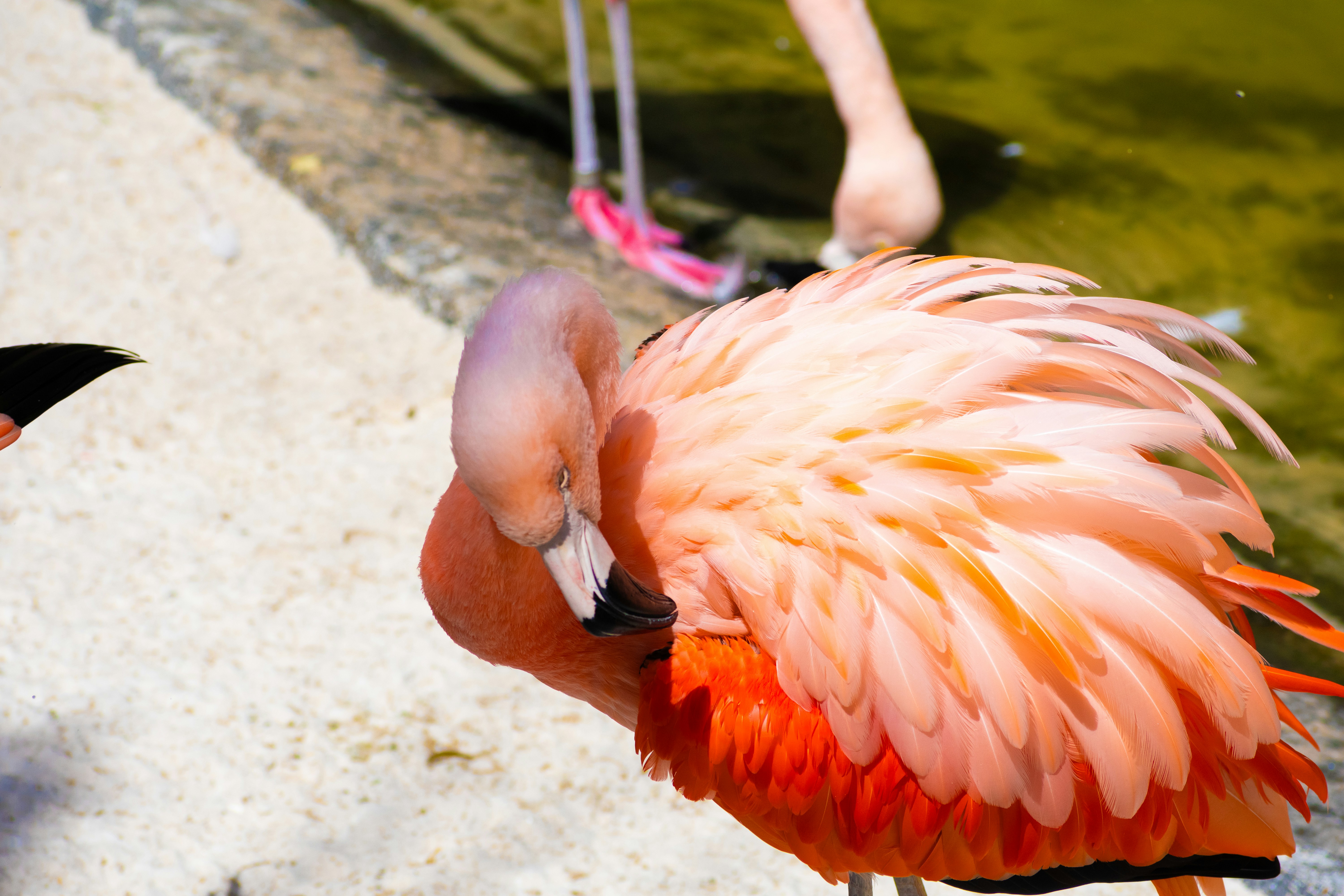 Photo by probablyrobin