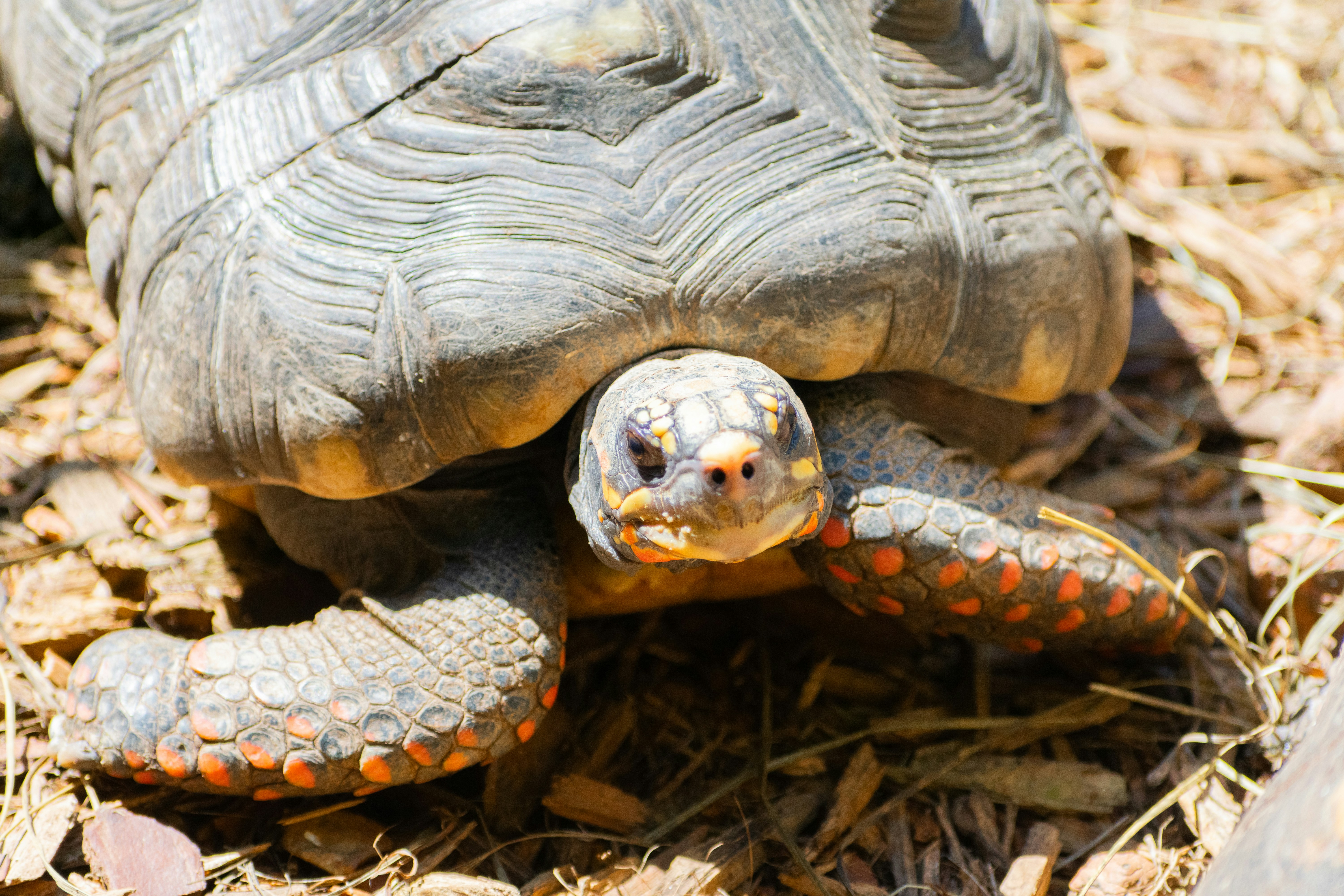 Photo by probablyrobin