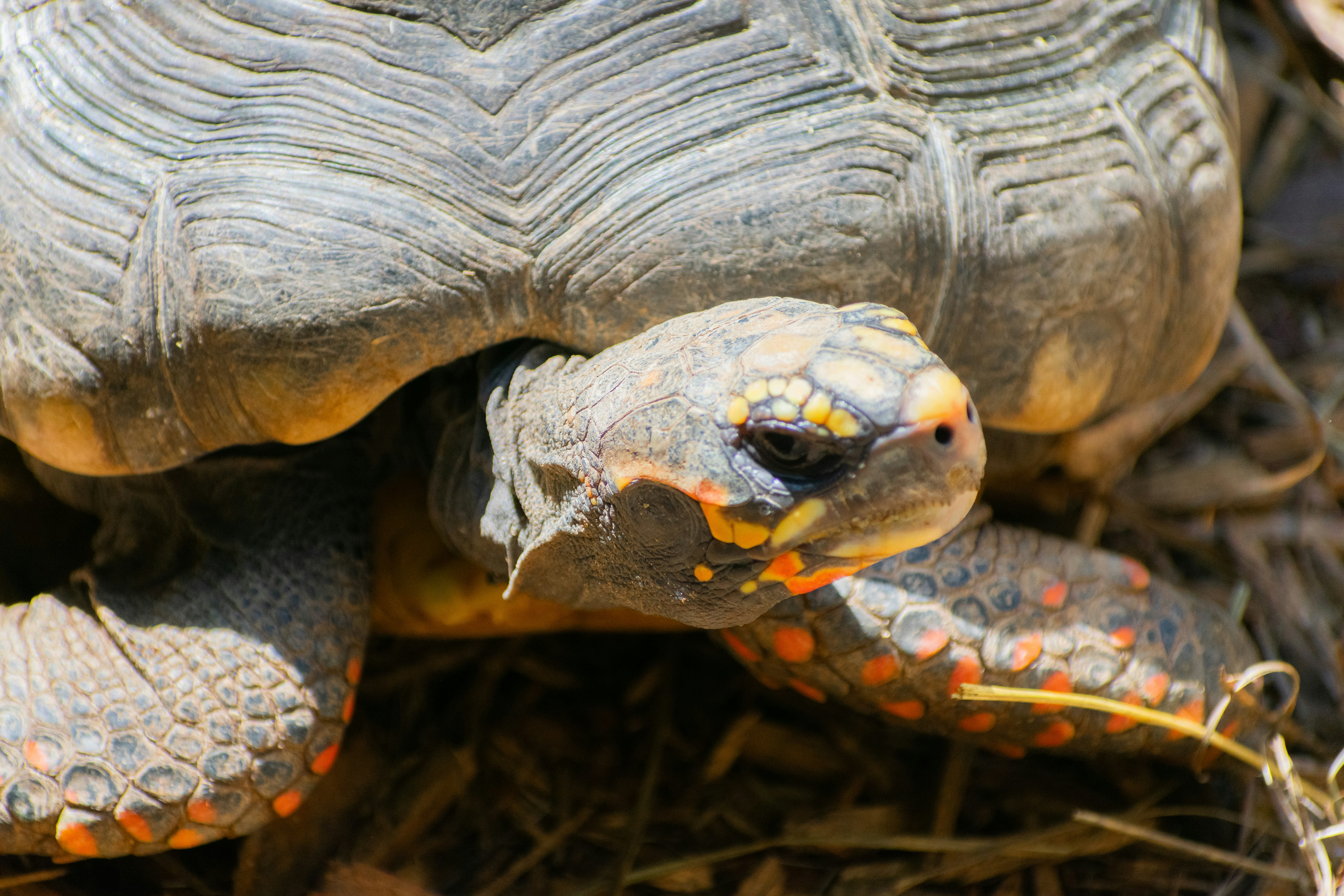 Photo by probablyrobin