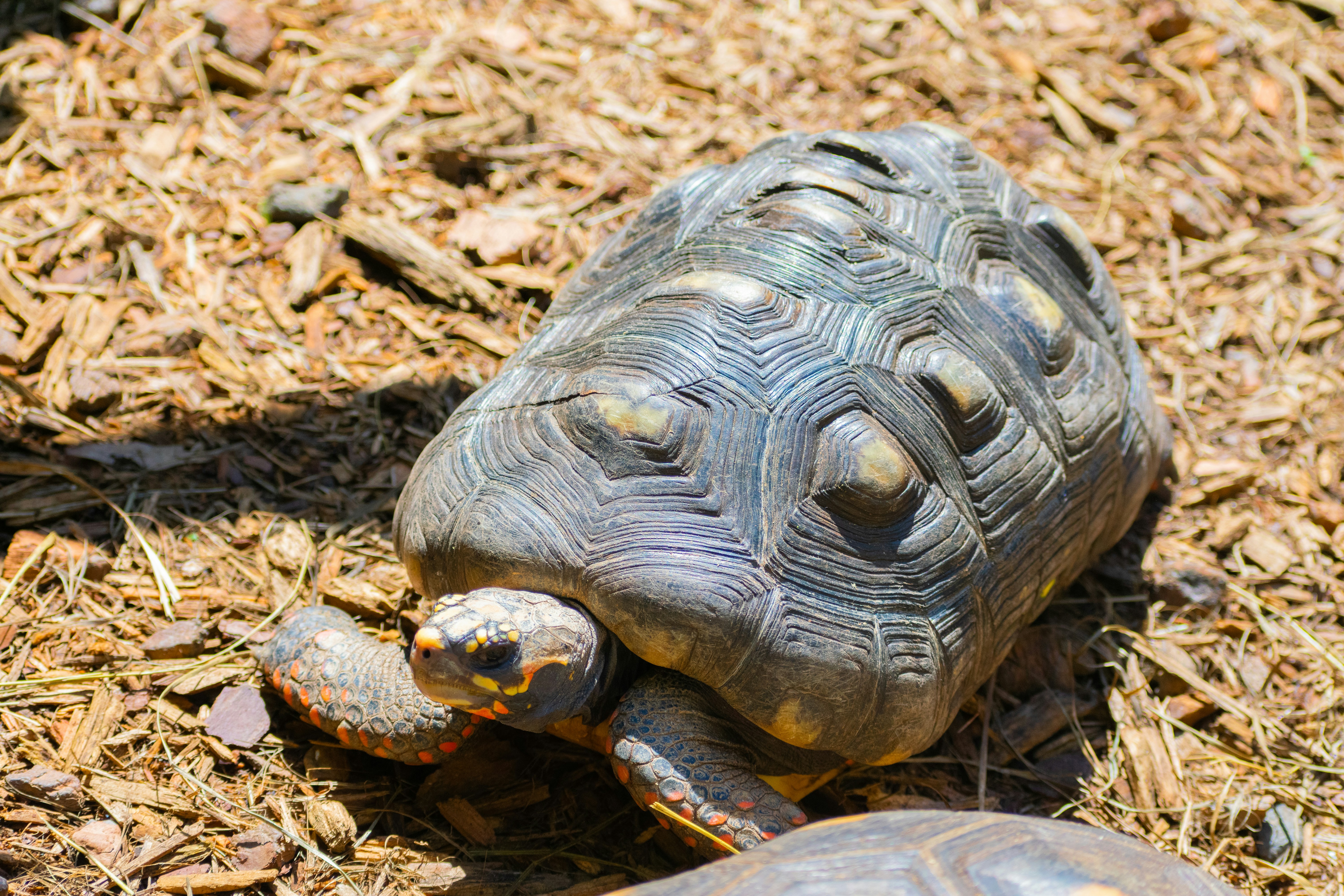 Photo by probablyrobin