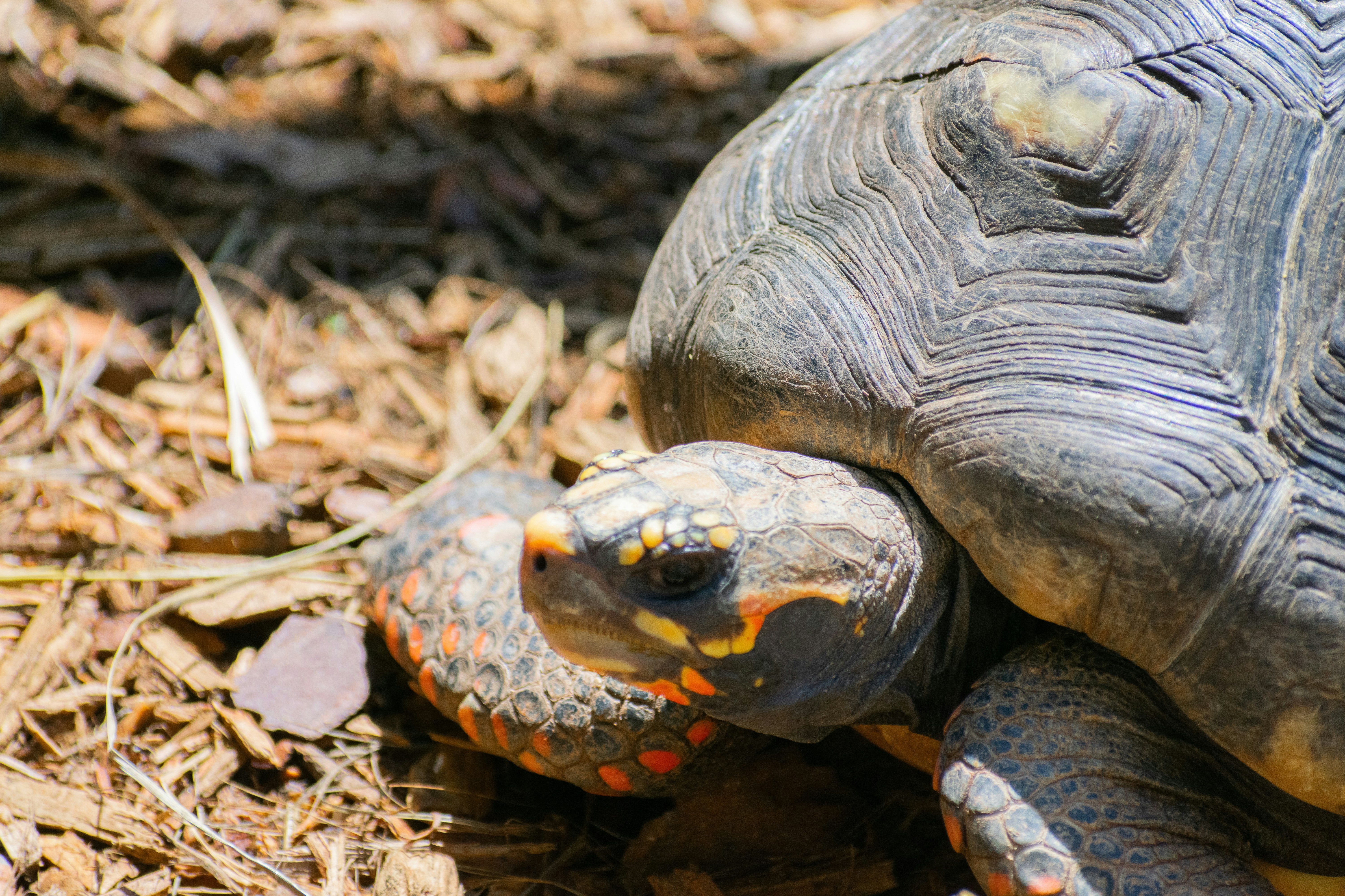 Photo by probablyrobin