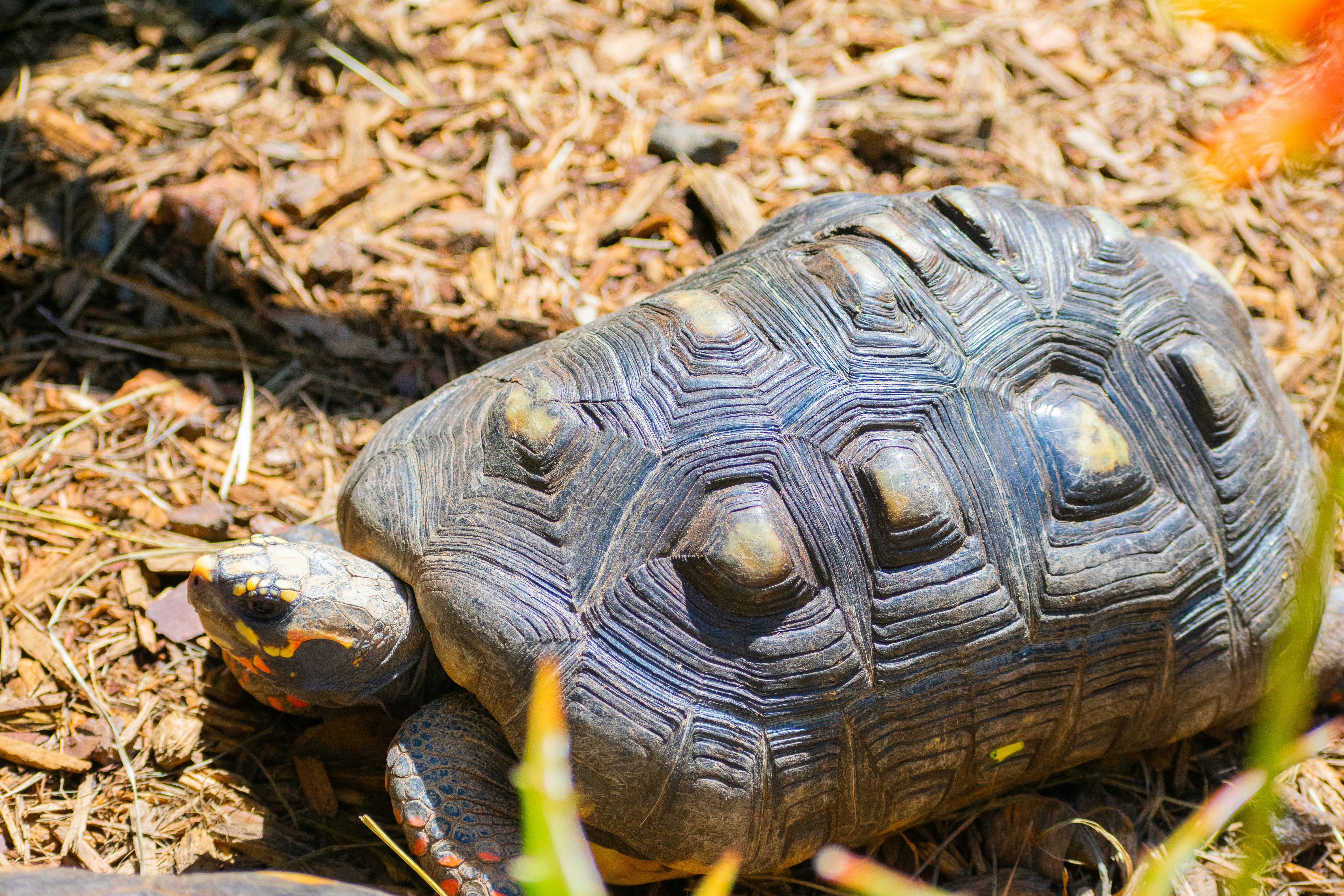 Photo by probablyrobin