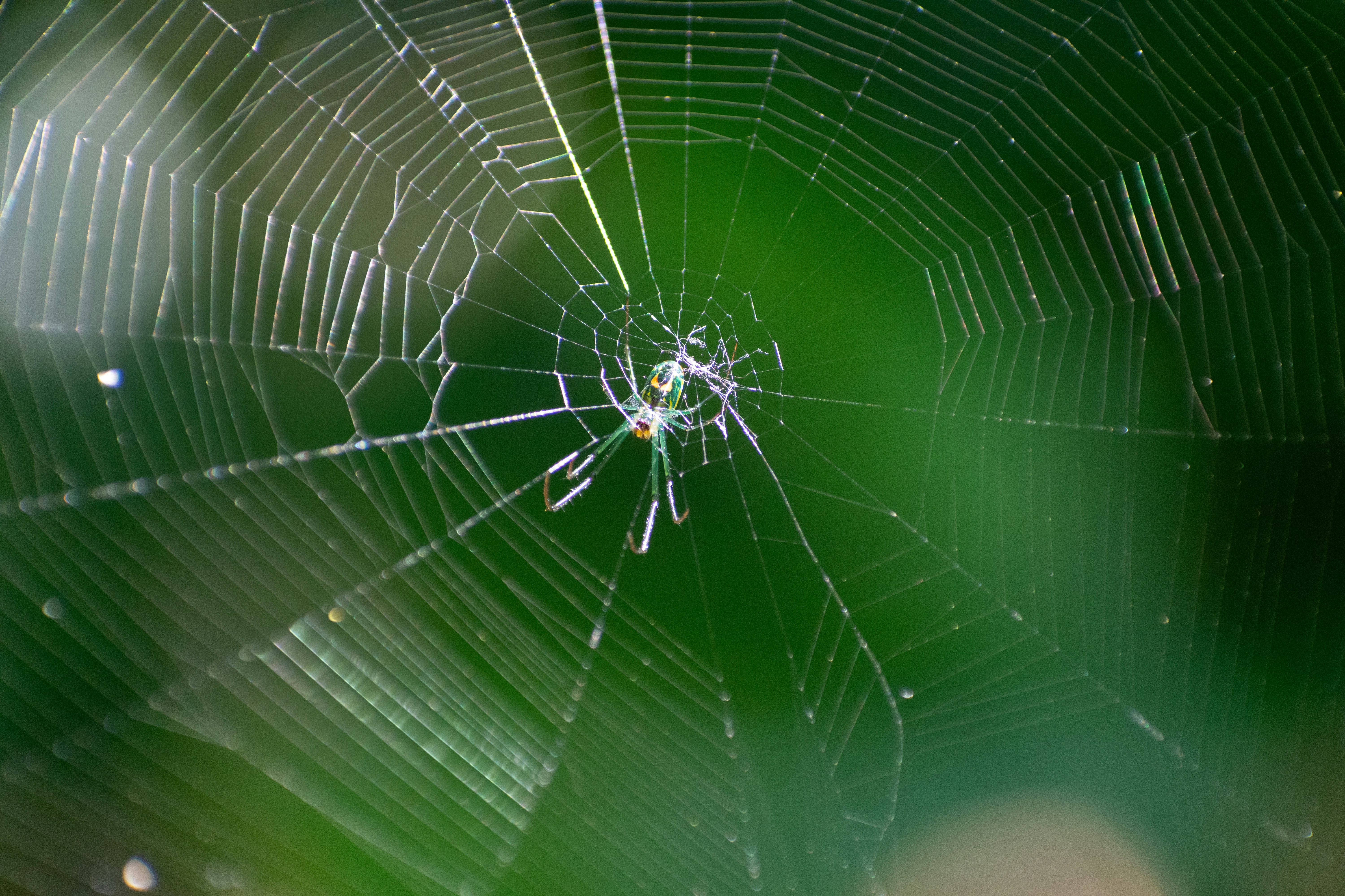 Photo by probablyrobin