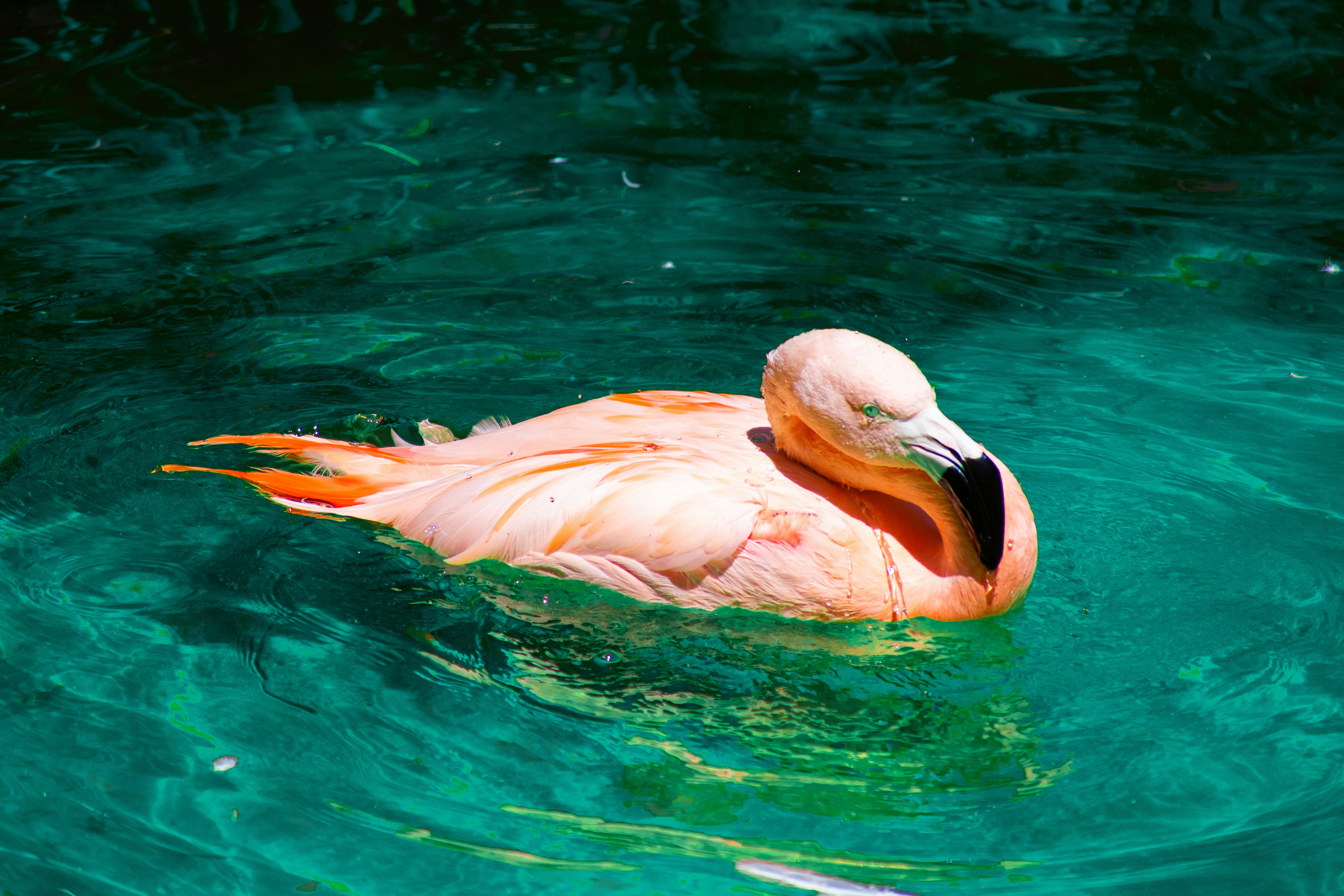 Photo by probablyrobin