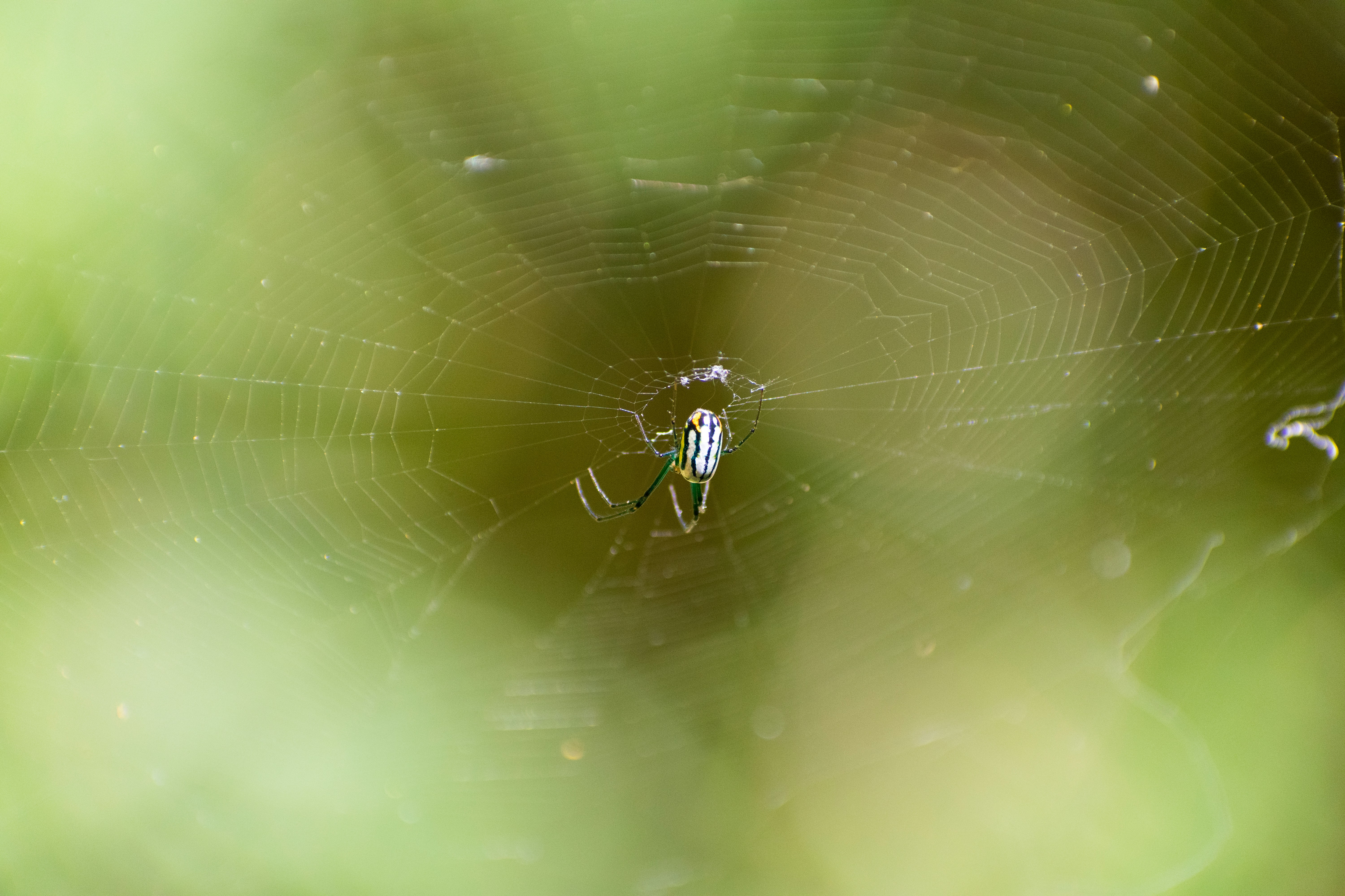 Photo by probablyrobin