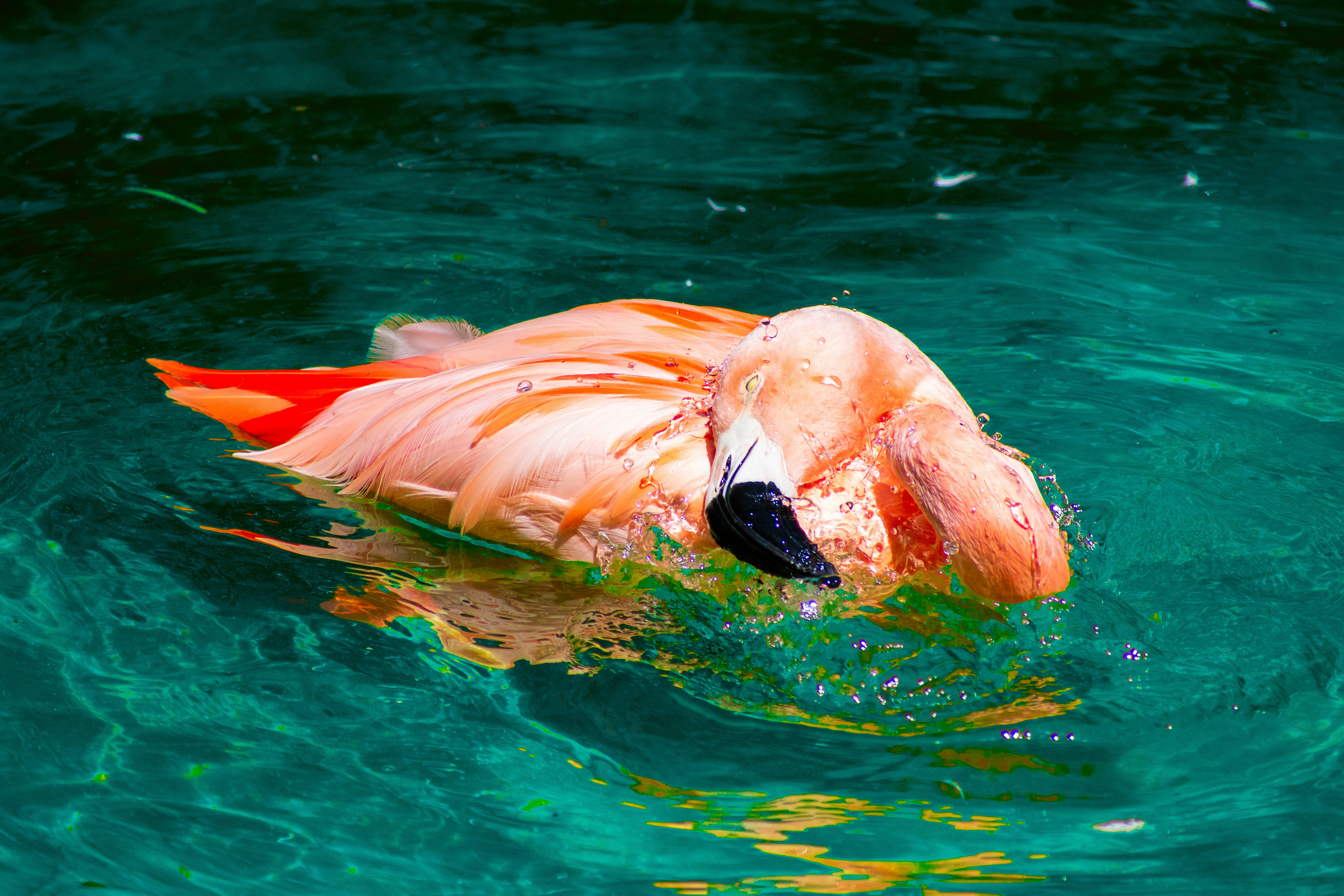 Photo by probablyrobin