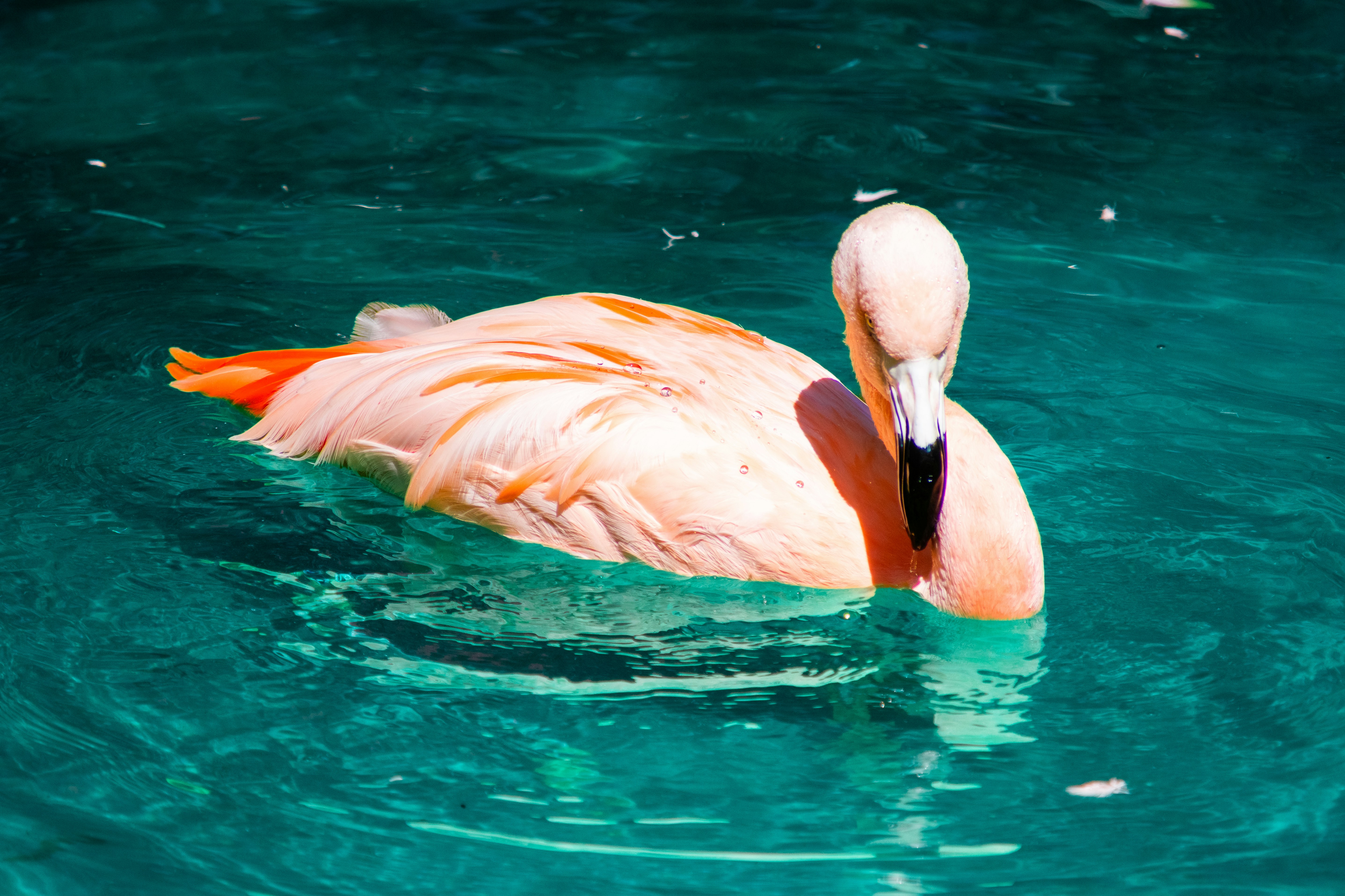 Photo by probablyrobin