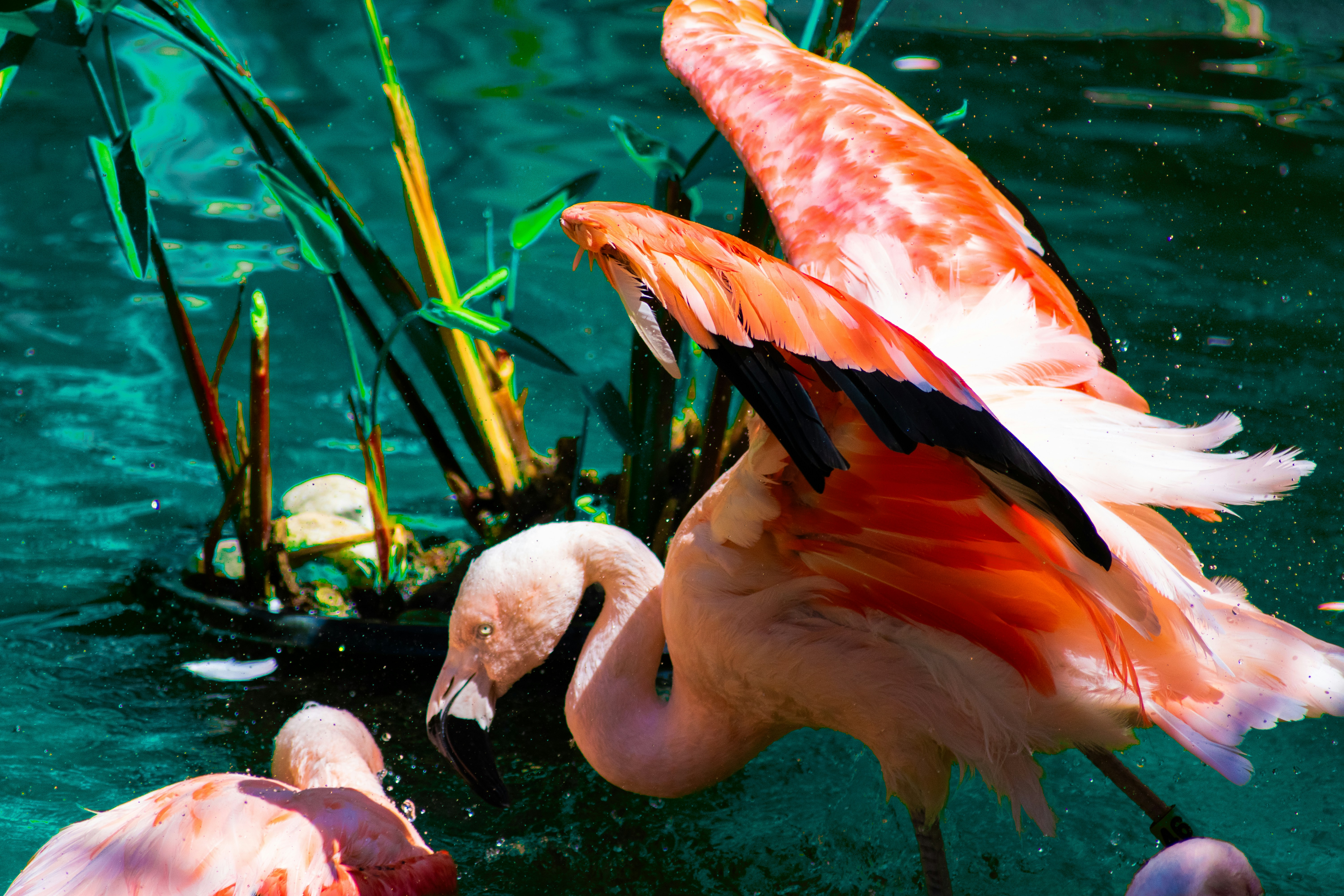 Photo by probablyrobin