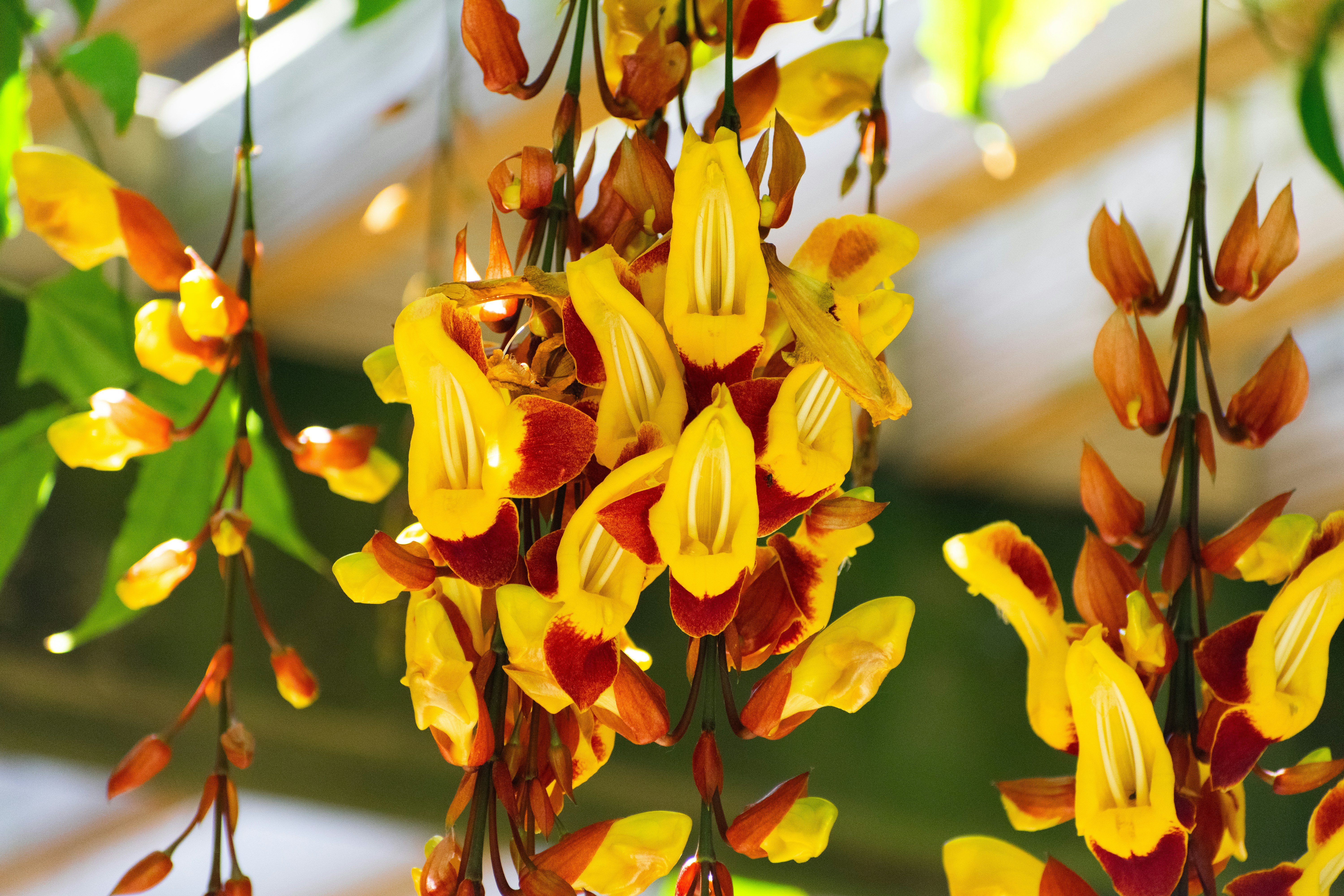 Photo by probablyrobin