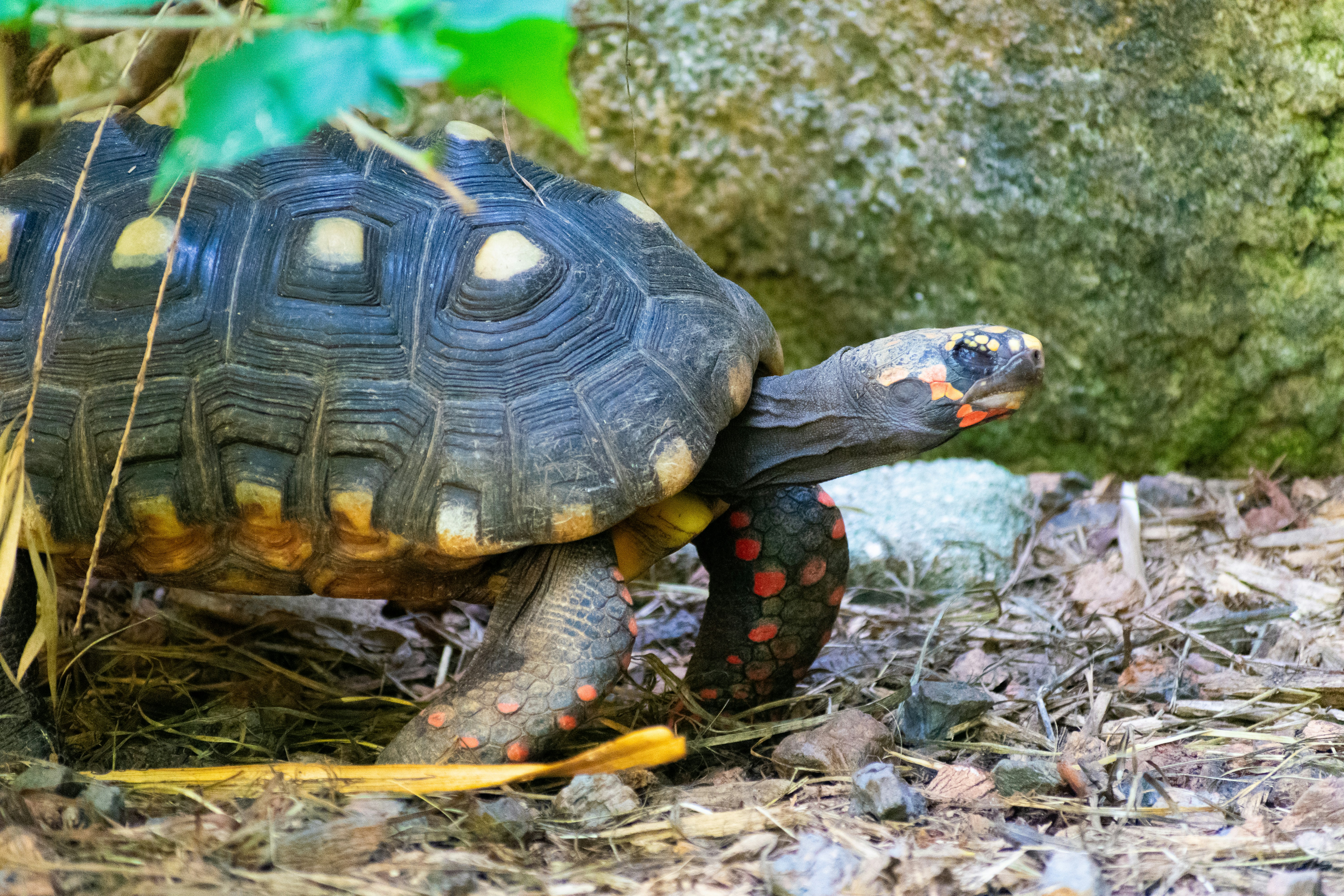 Photo by probablyrobin