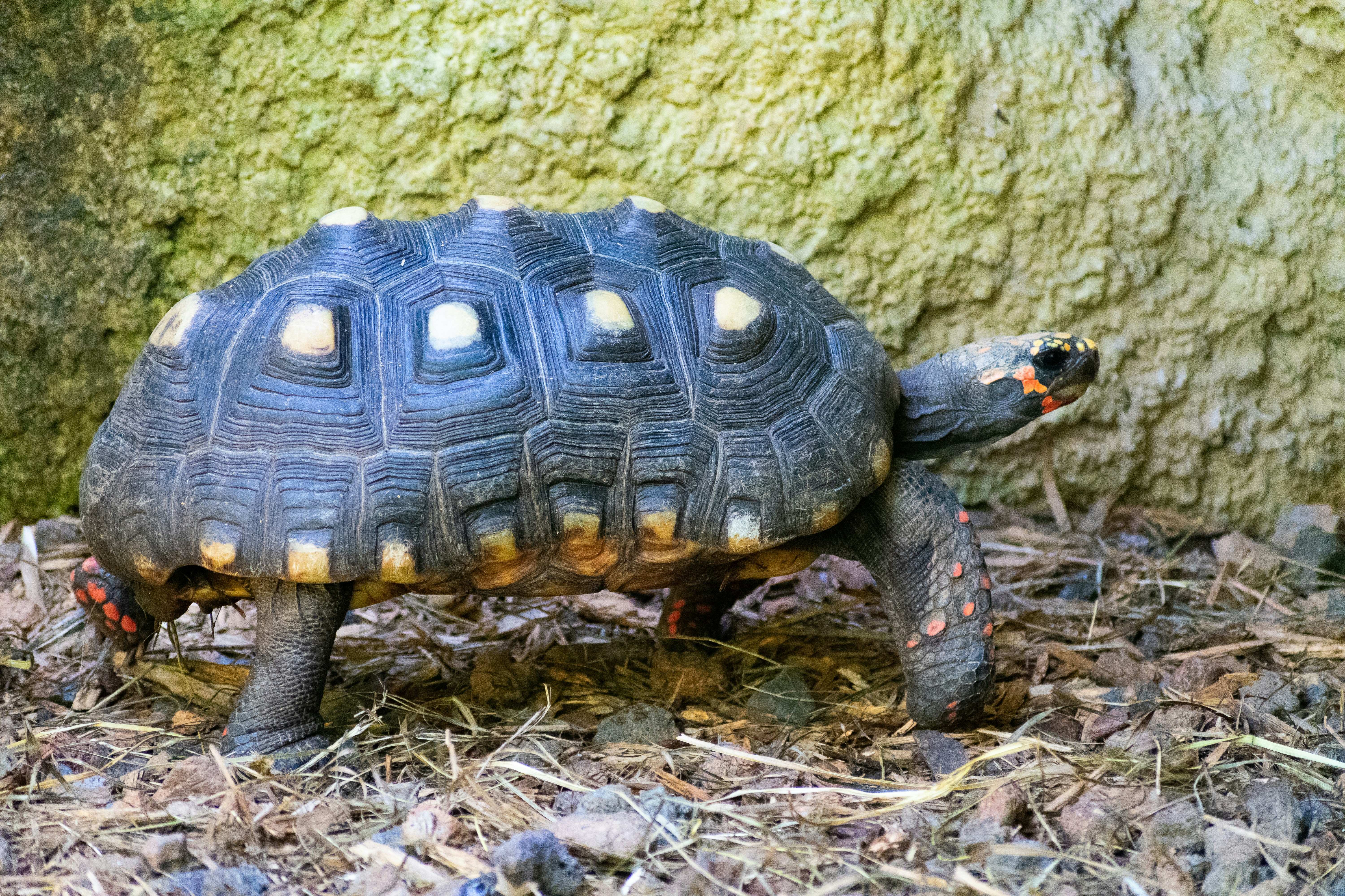 Photo by probablyrobin