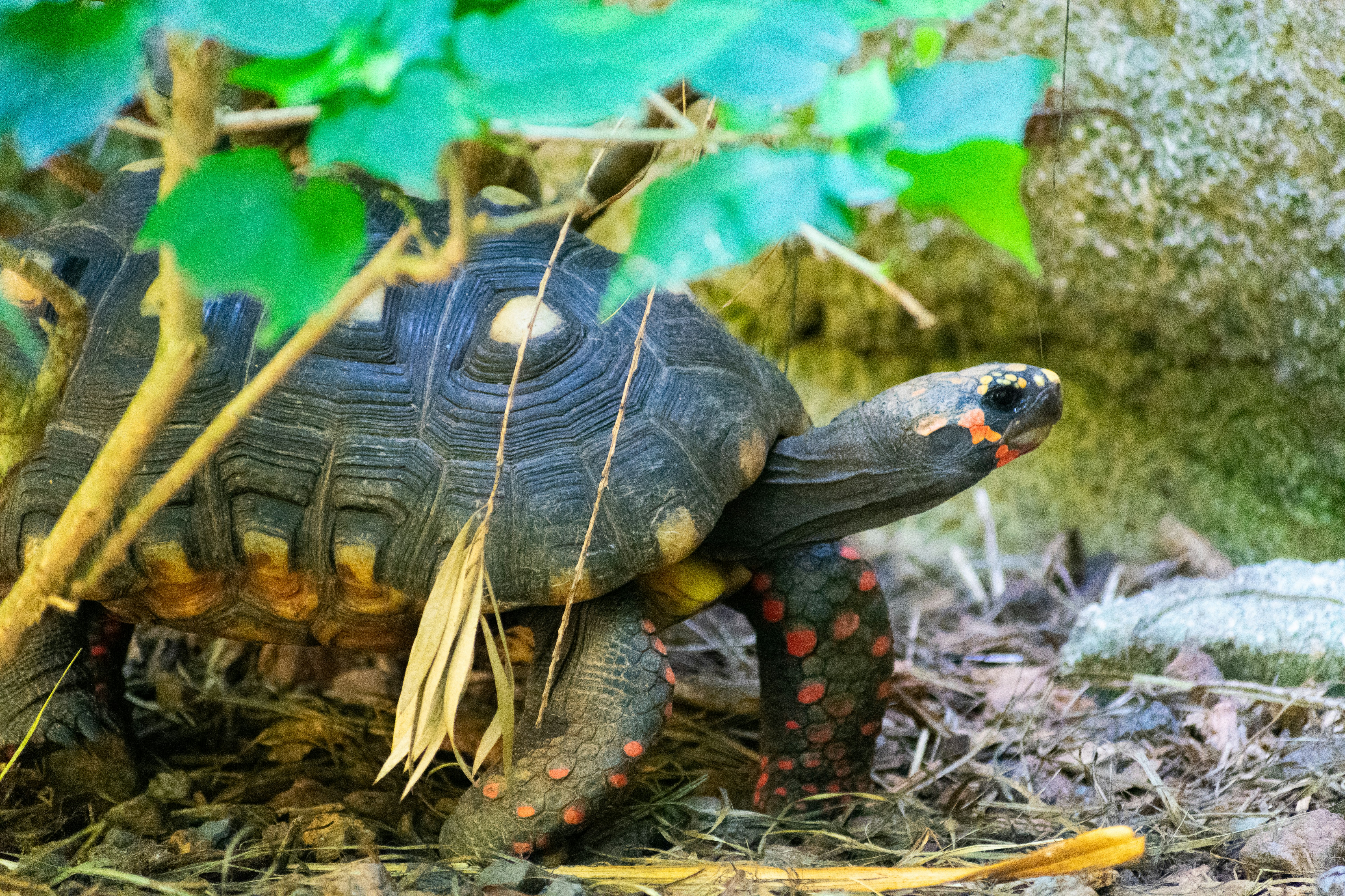 Photo by probablyrobin