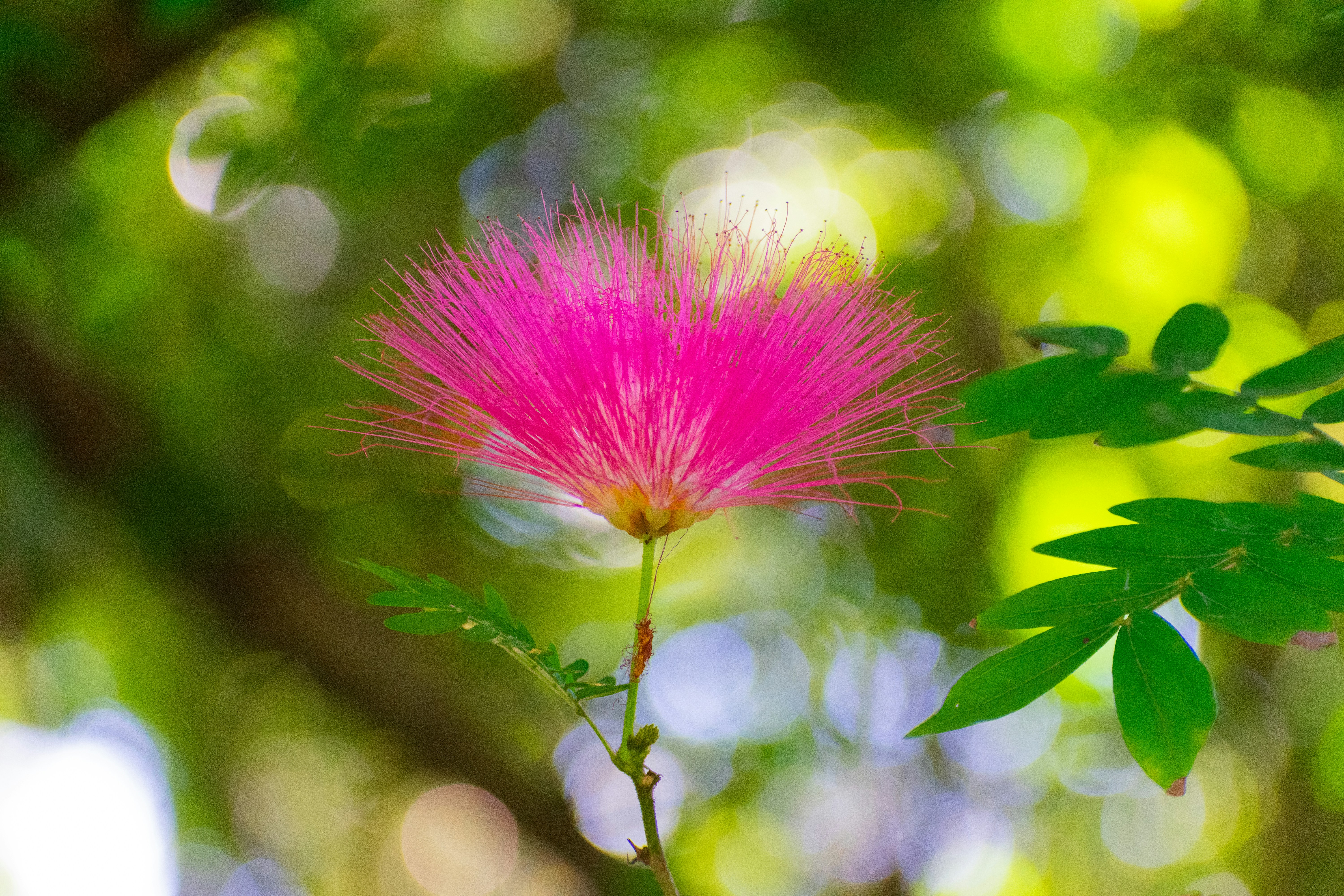 Photo by probablyrobin