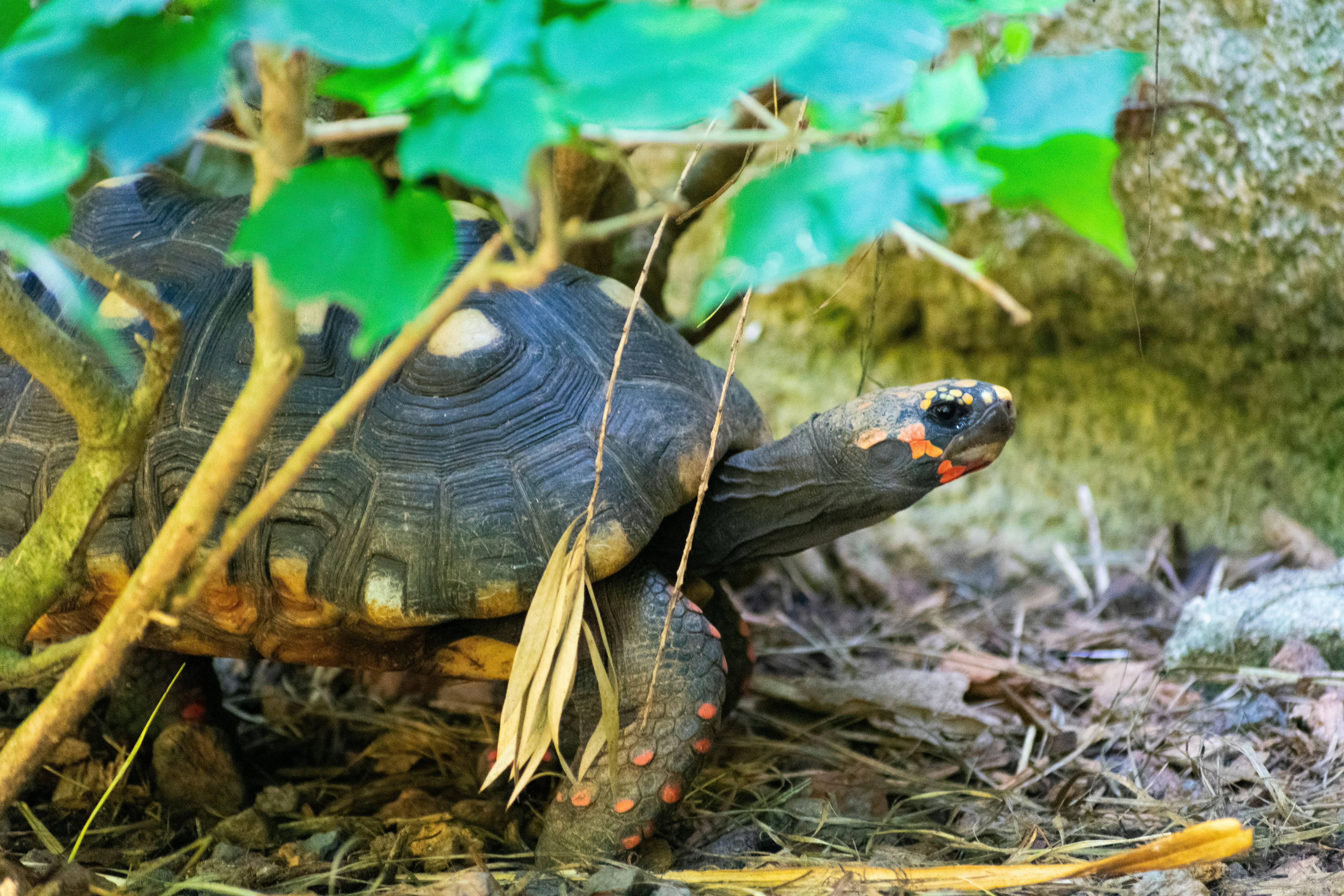 Photo by probablyrobin