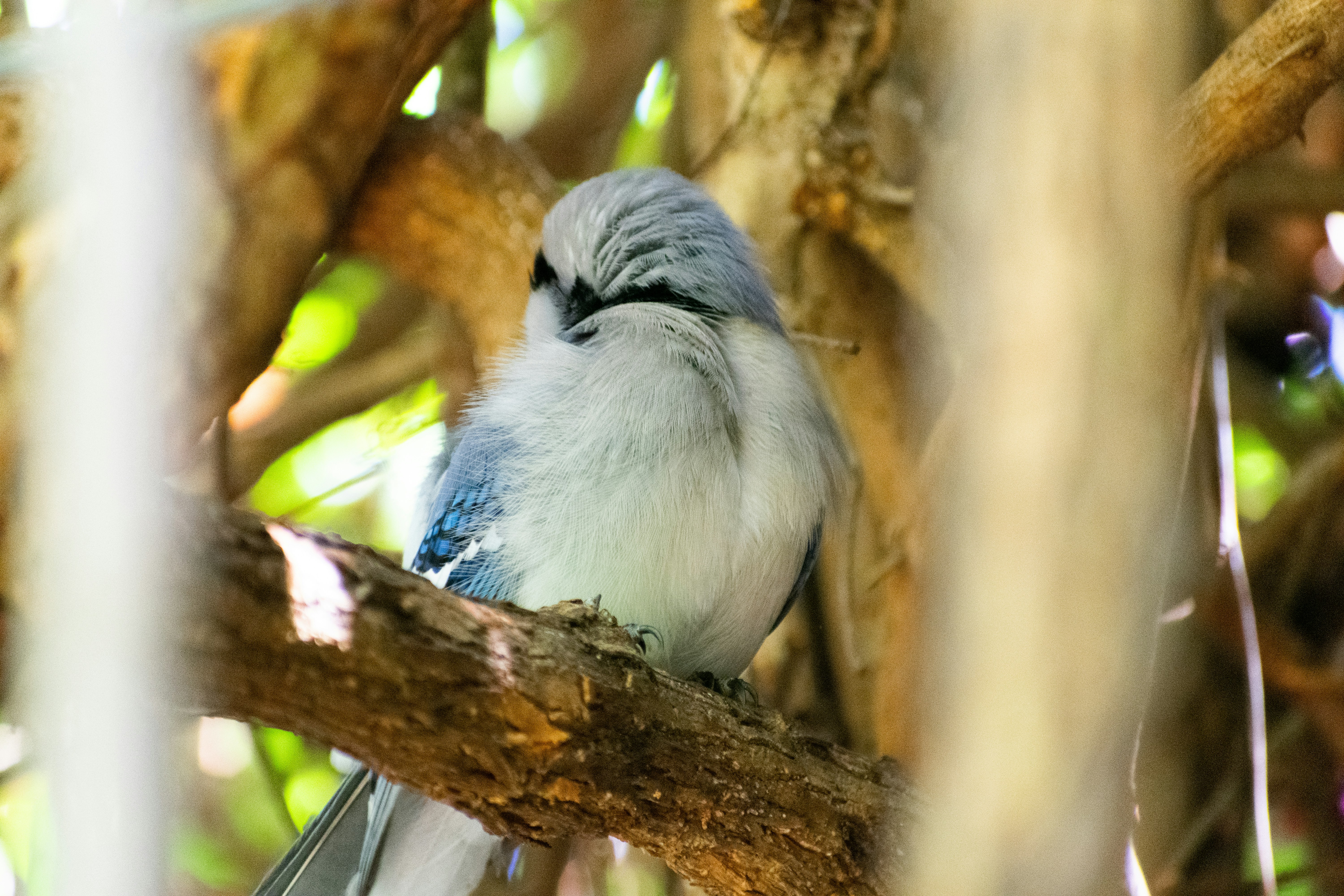 Photo by probablyrobin