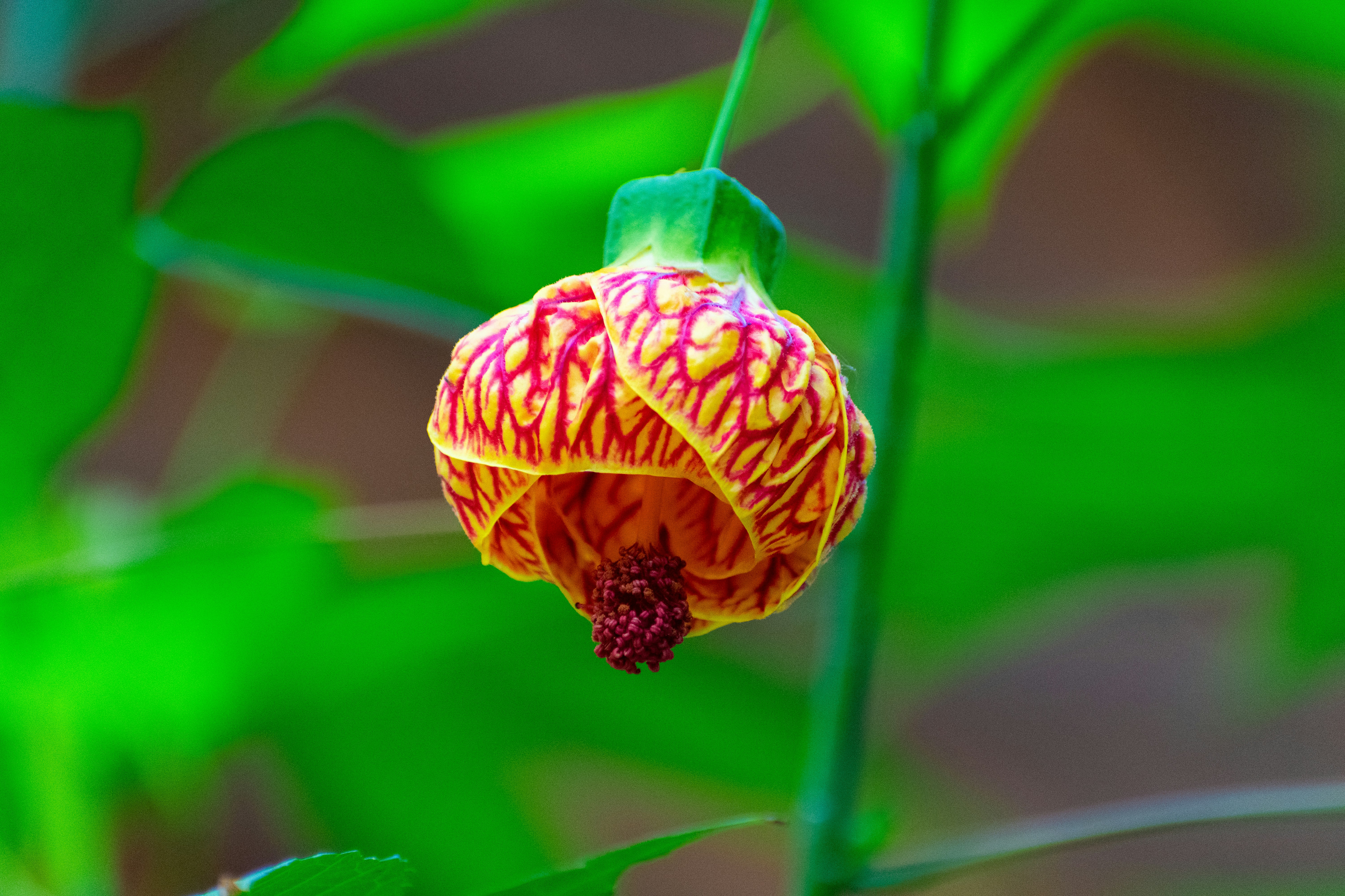 Photo by probablyrobin