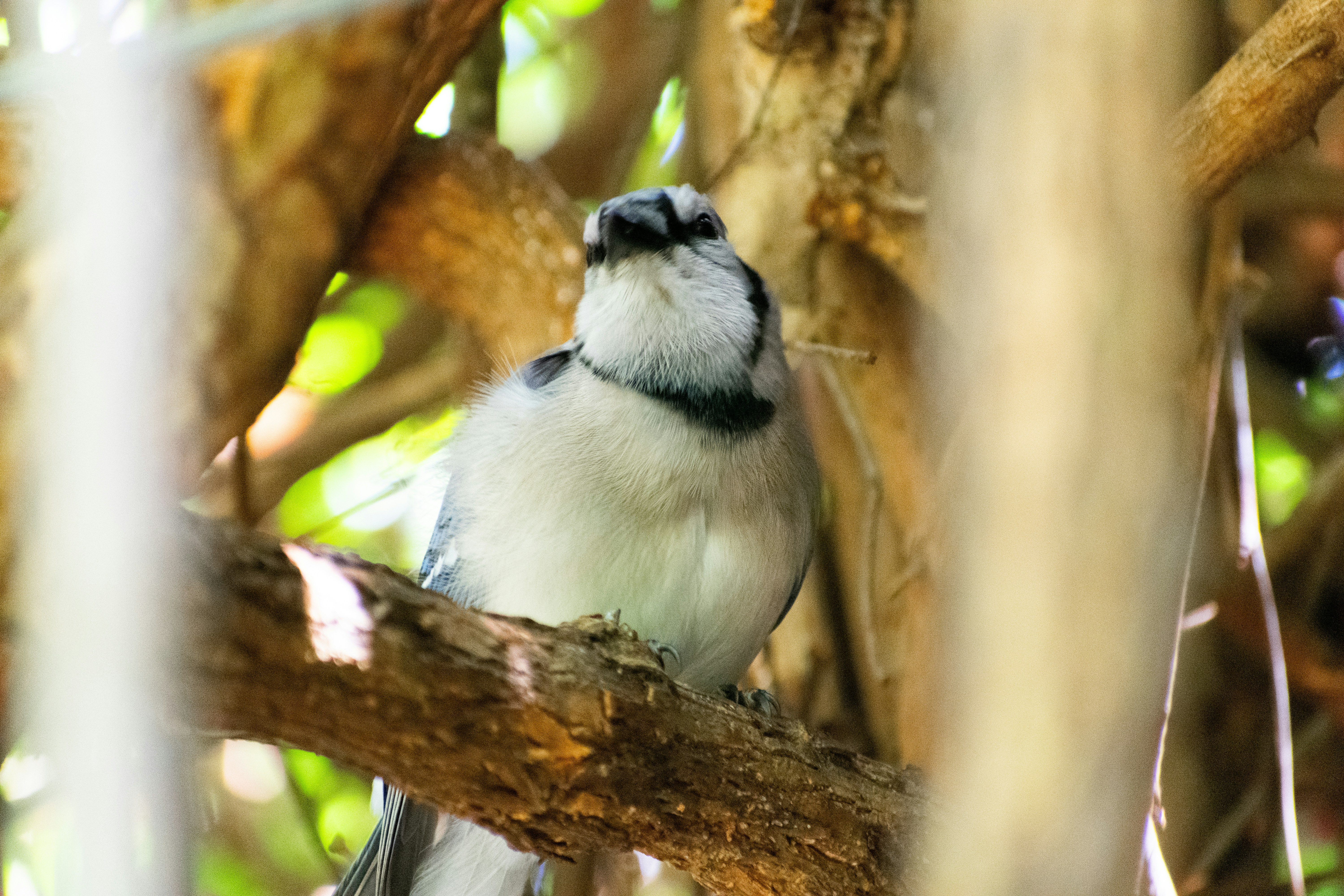 Photo by probablyrobin