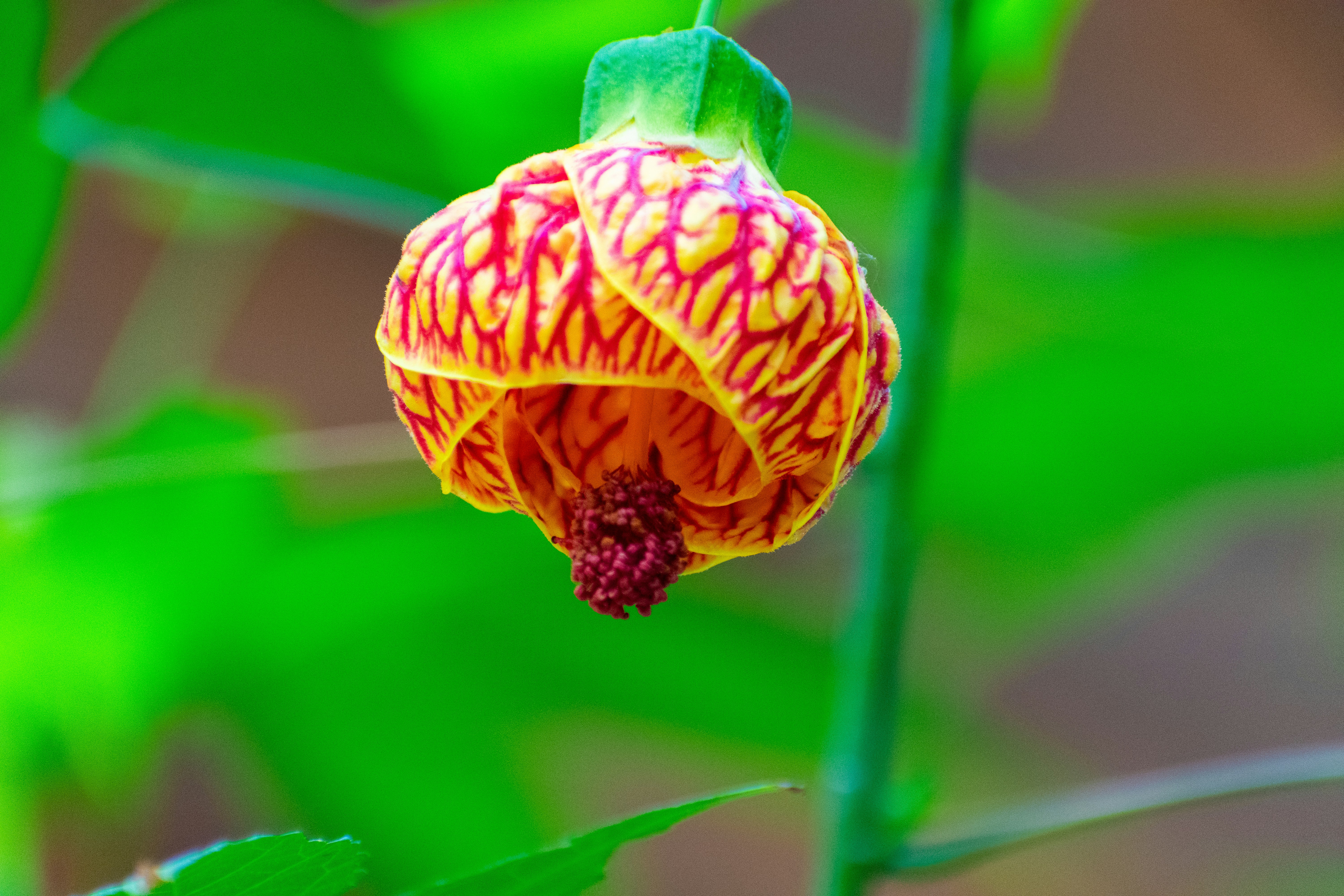 Photo by probablyrobin