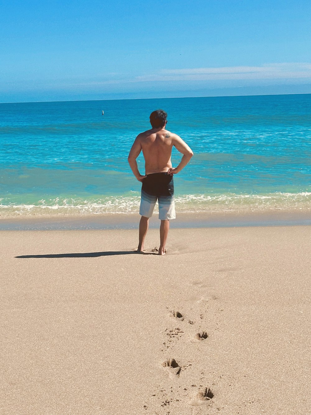 a man standing on top of a sandy beach next to the ocean