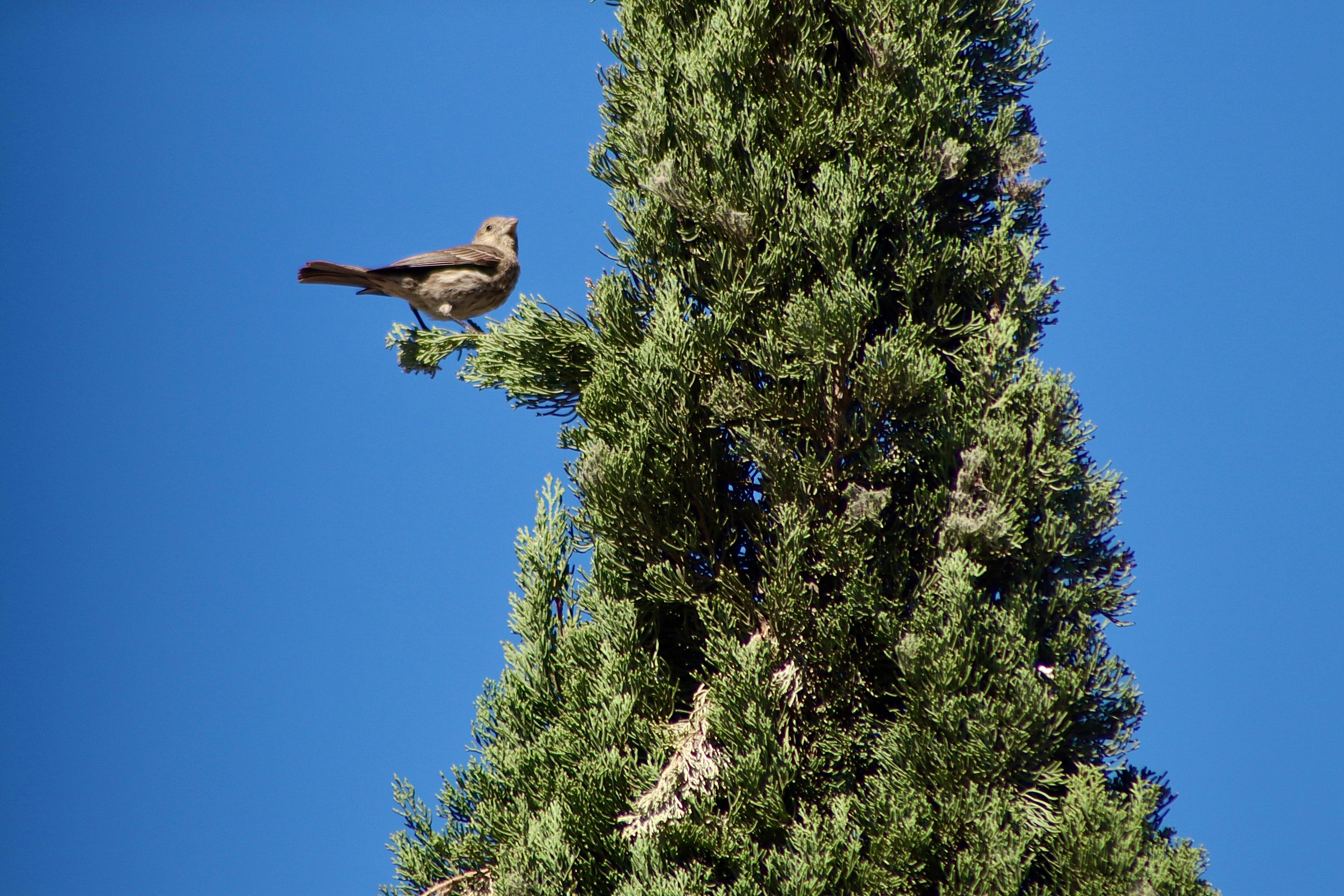 Photo by jorgeel_vm09