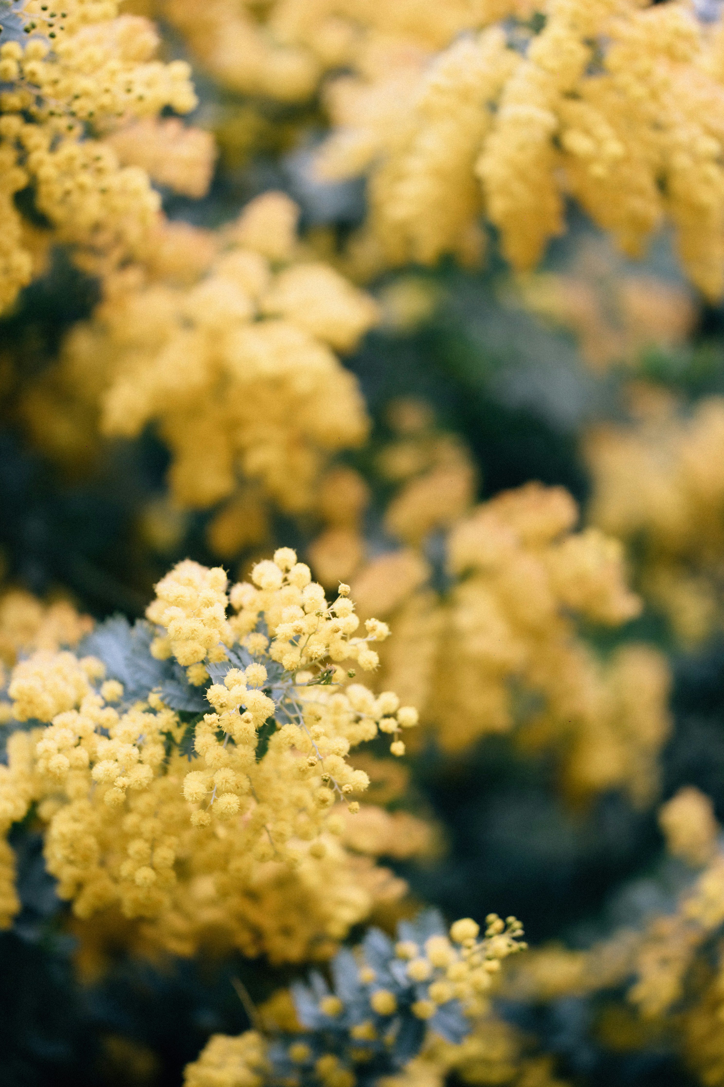 Photo by tsuyoshikozu