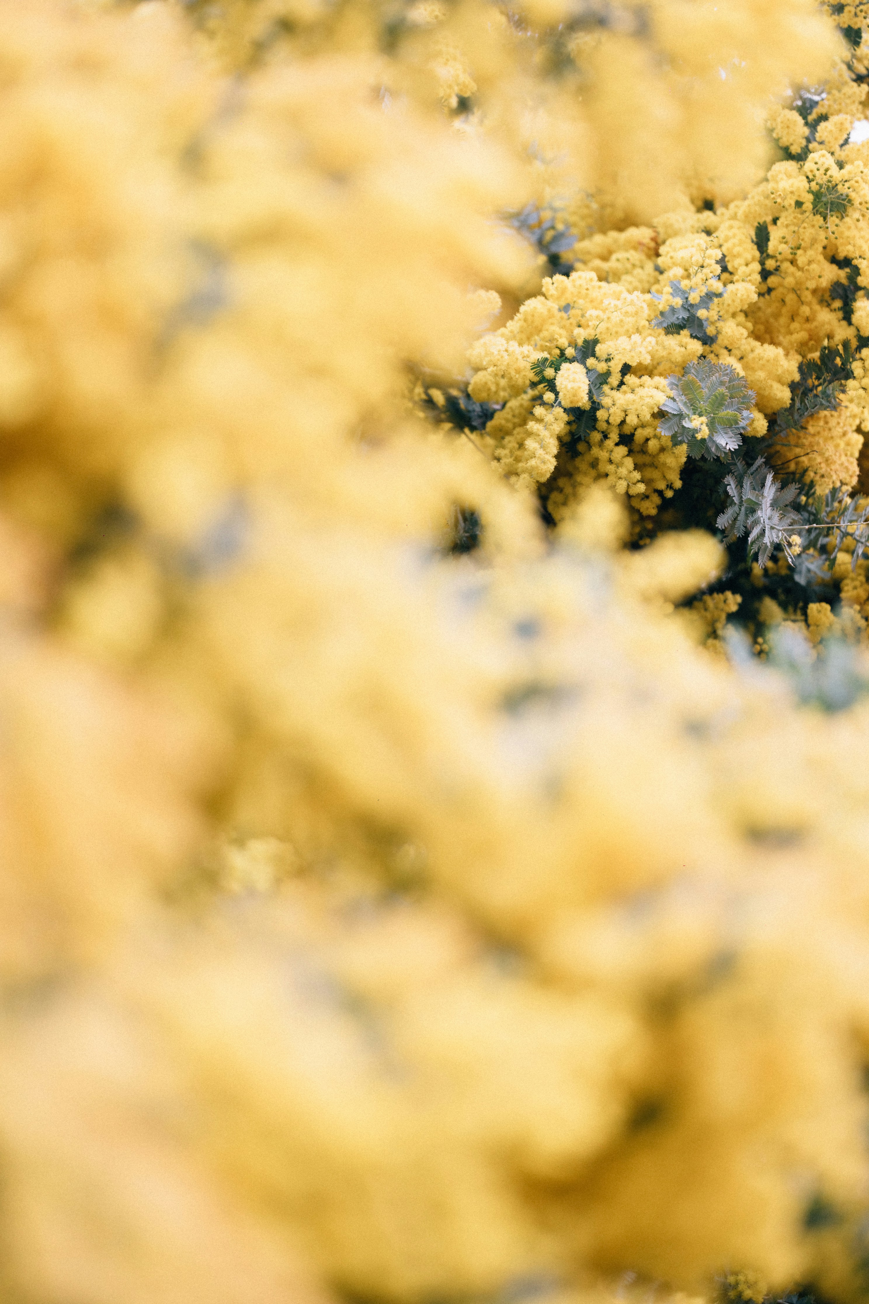 Photo by tsuyoshikozu