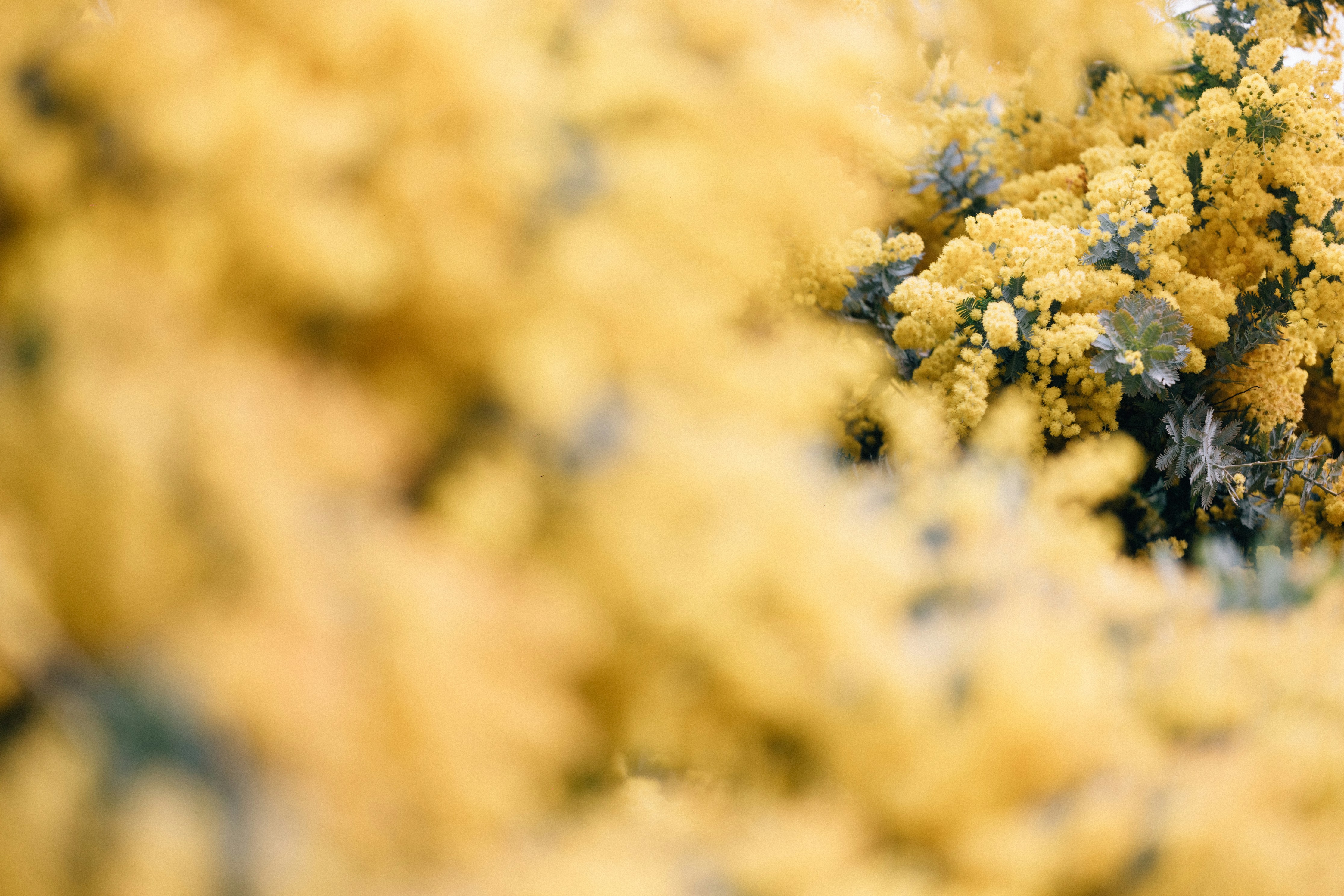 Photo by tsuyoshikozu