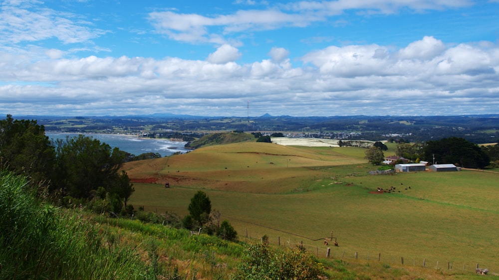 a lush green hillside with a body of water in the distance