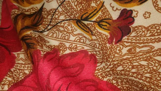 a close up of a red flower on a fabric