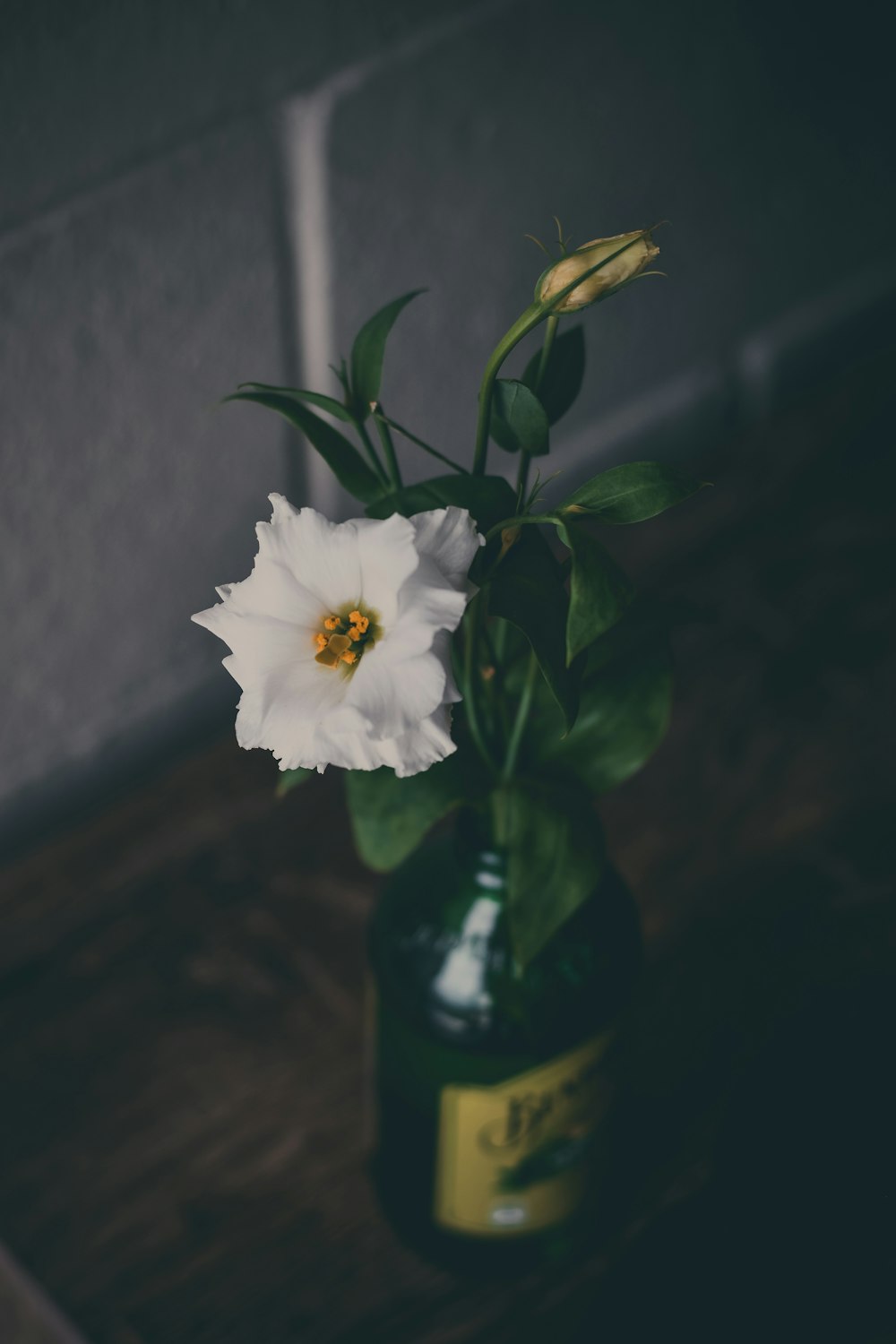 a white flower in a green vase on a table