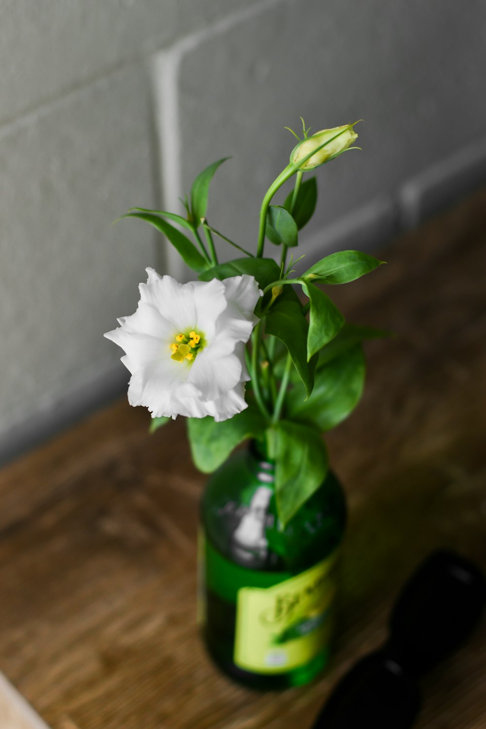 a white flower in a green bottle on a wooden table