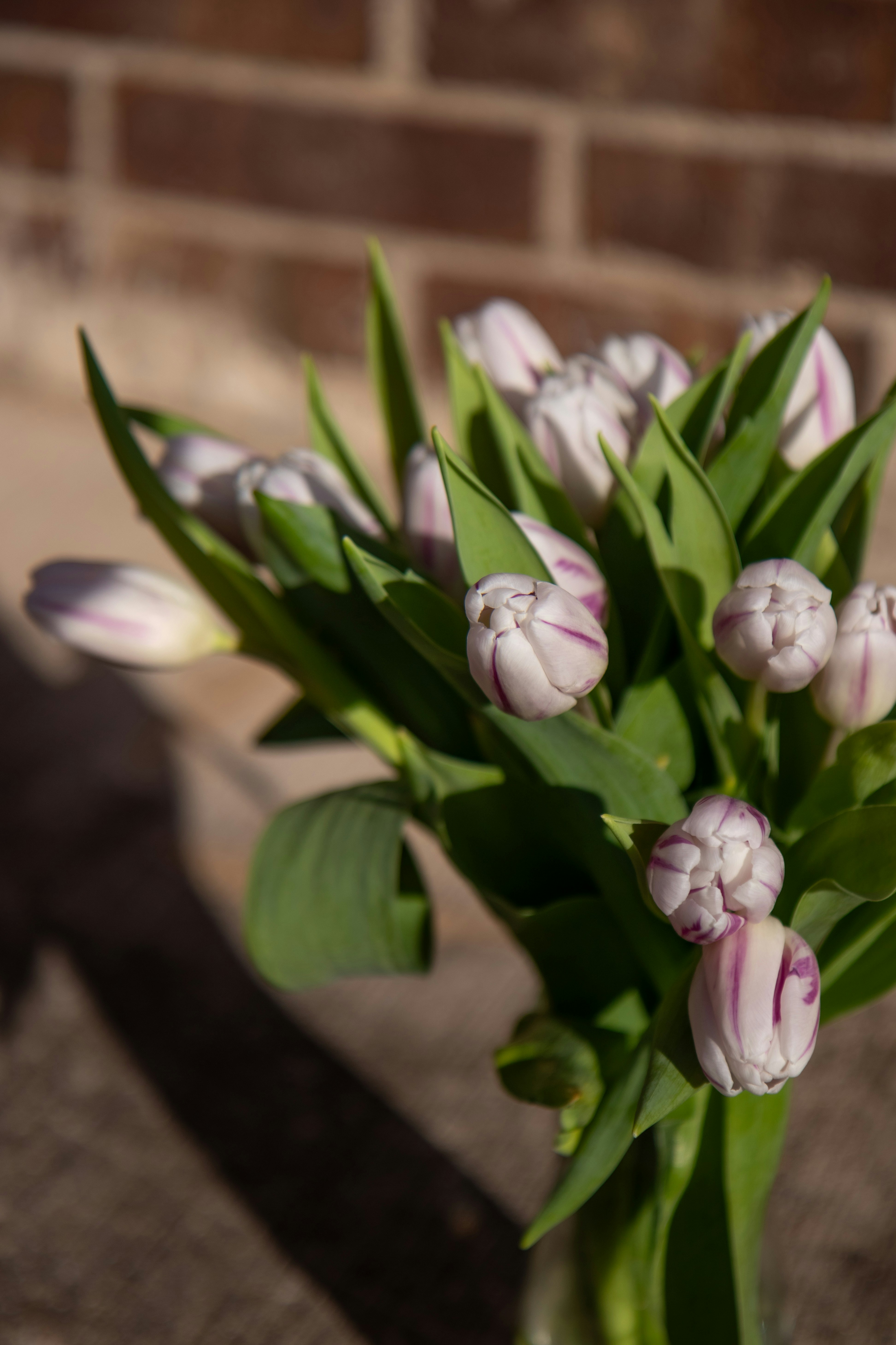 Photo by restedtraveler