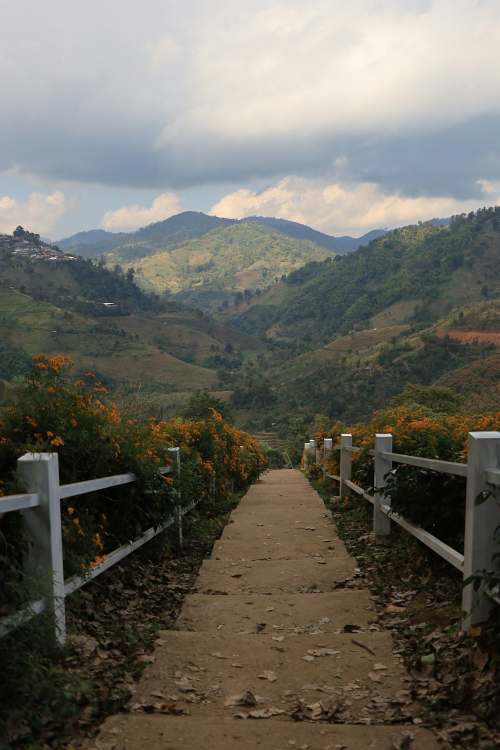 a dirt path leading to a lush green hillside