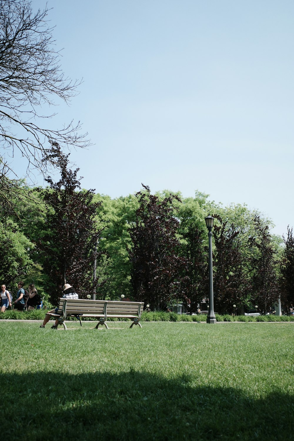una panchina del parco in mezzo a un campo erboso