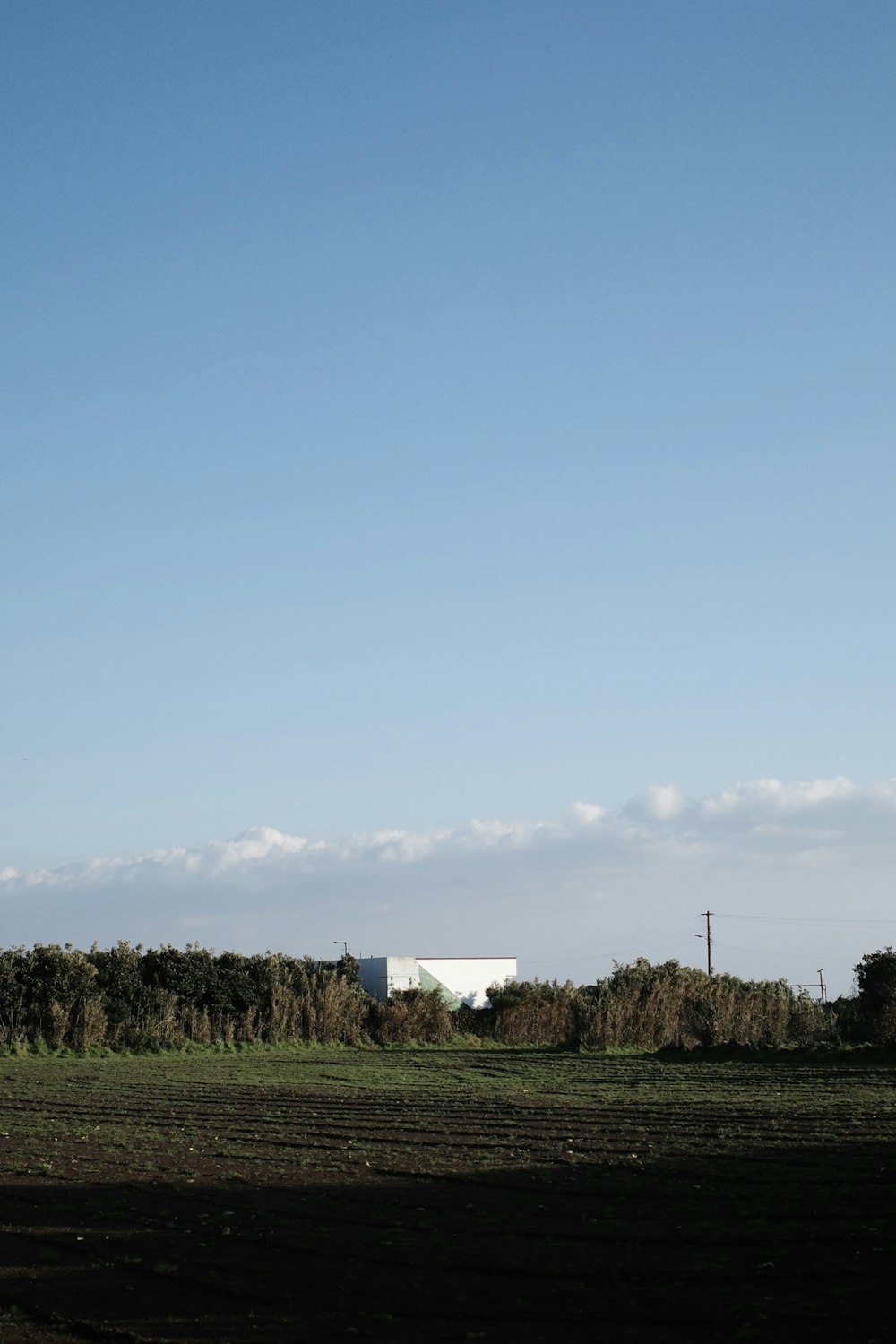 a plane flying over a lush green field