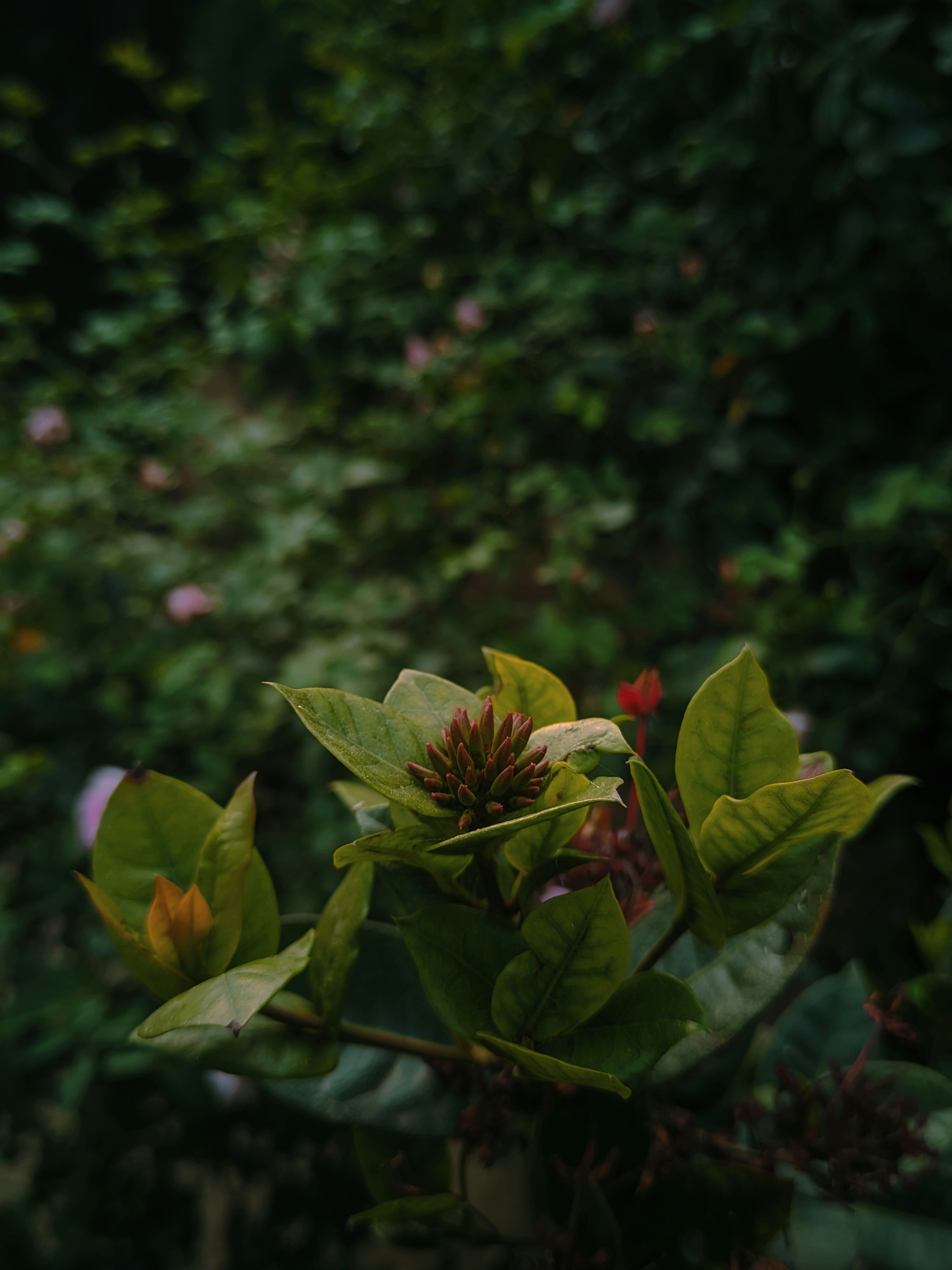 Photo by anshuman0090