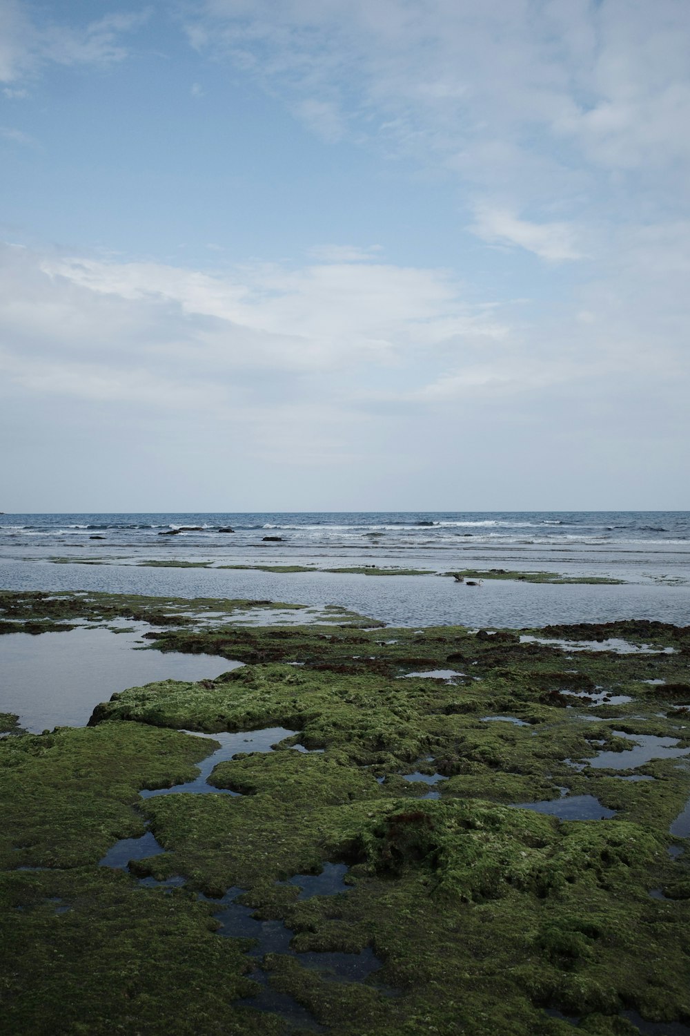 a large body of water sitting next to a lush green field