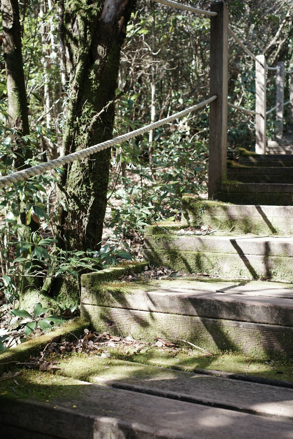 una persona montando una patineta por unas escaleras