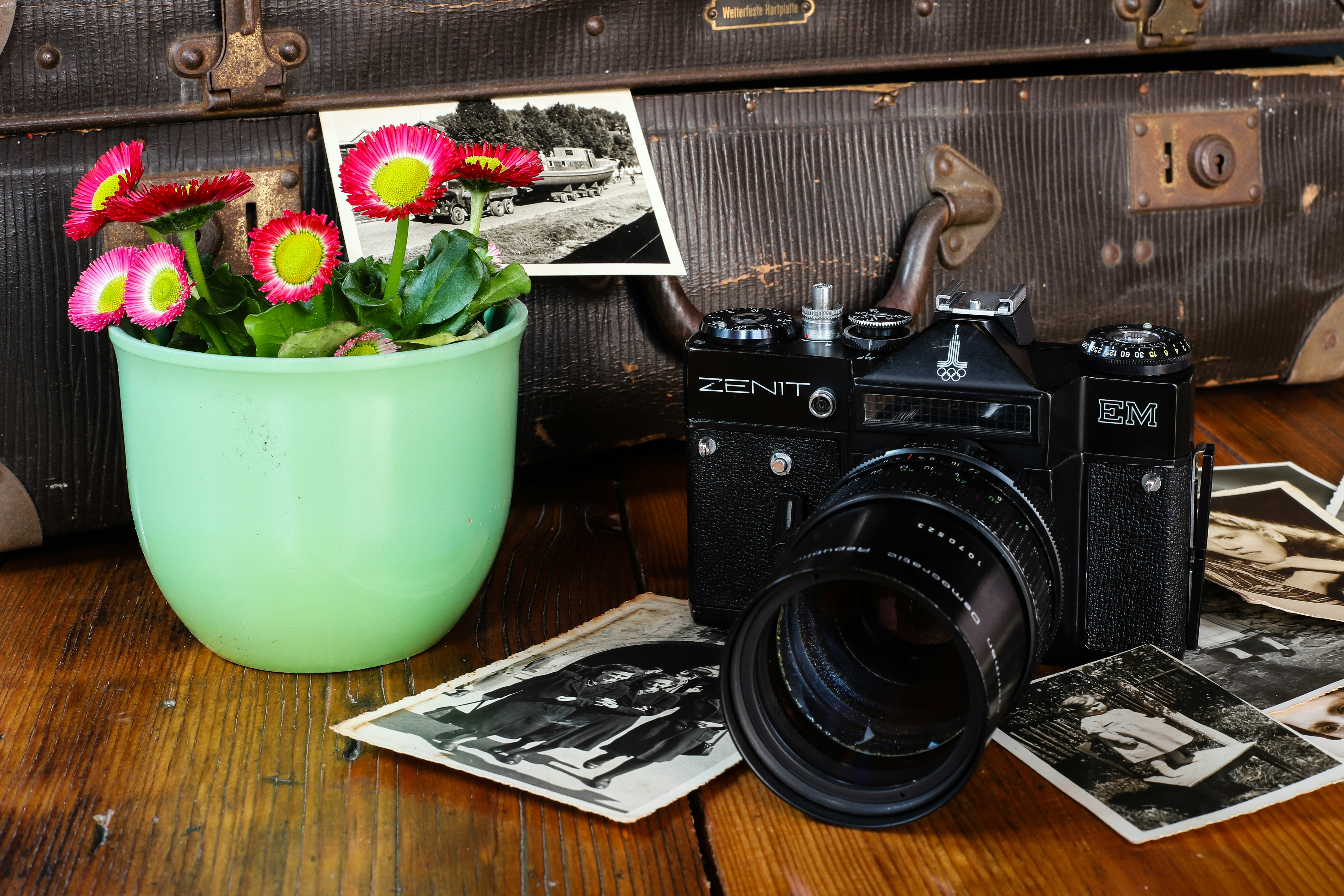 a camera and a potted plant on a table