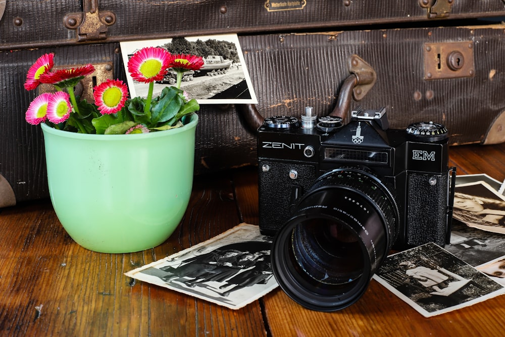 una macchina fotografica e una pianta in vaso su un tavolo