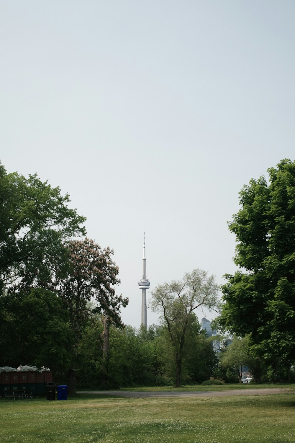 a grassy field with trees and a tower in the background