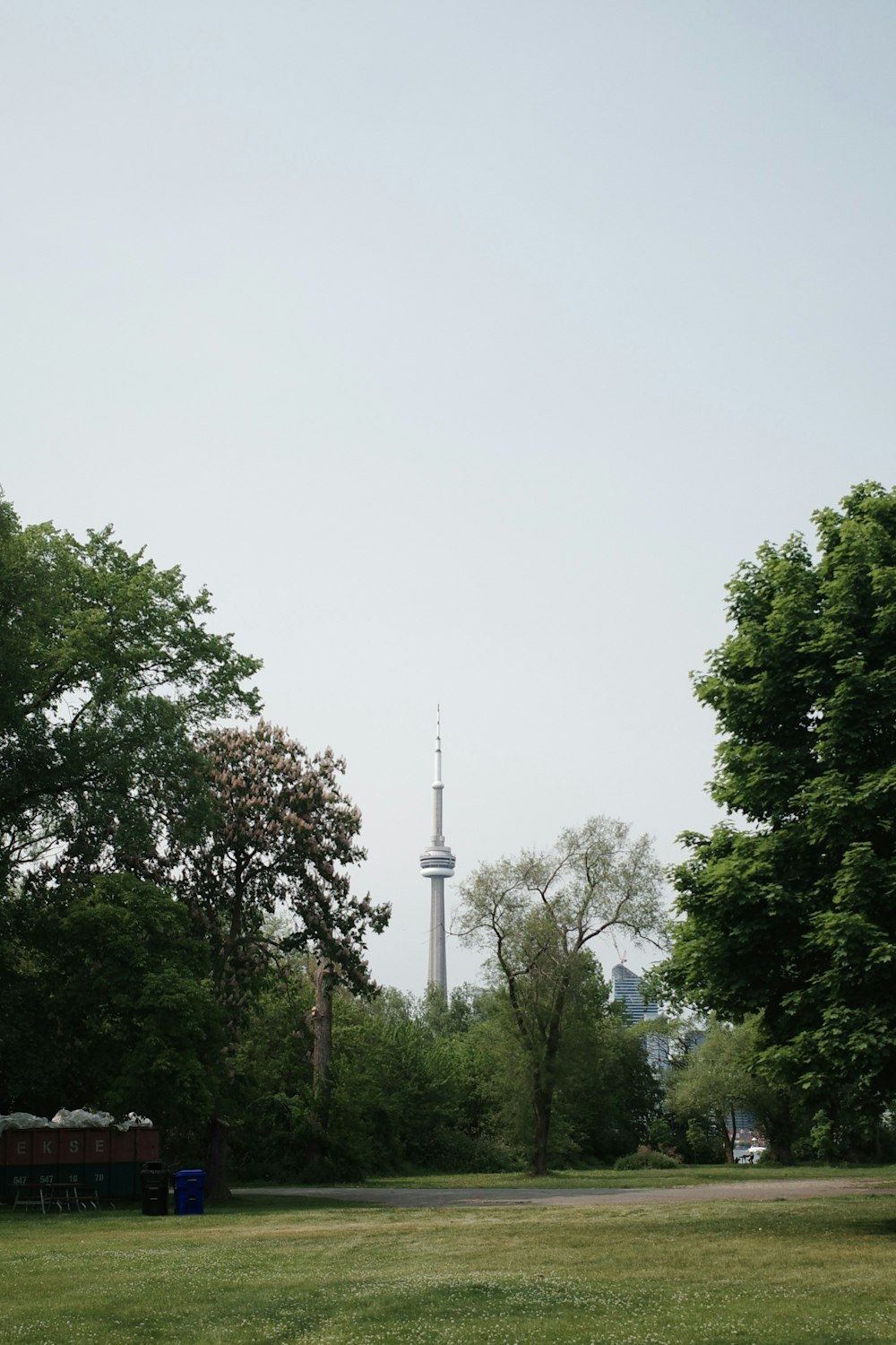 eine Wiese mit Bäumen und einem Turm im Hintergrund