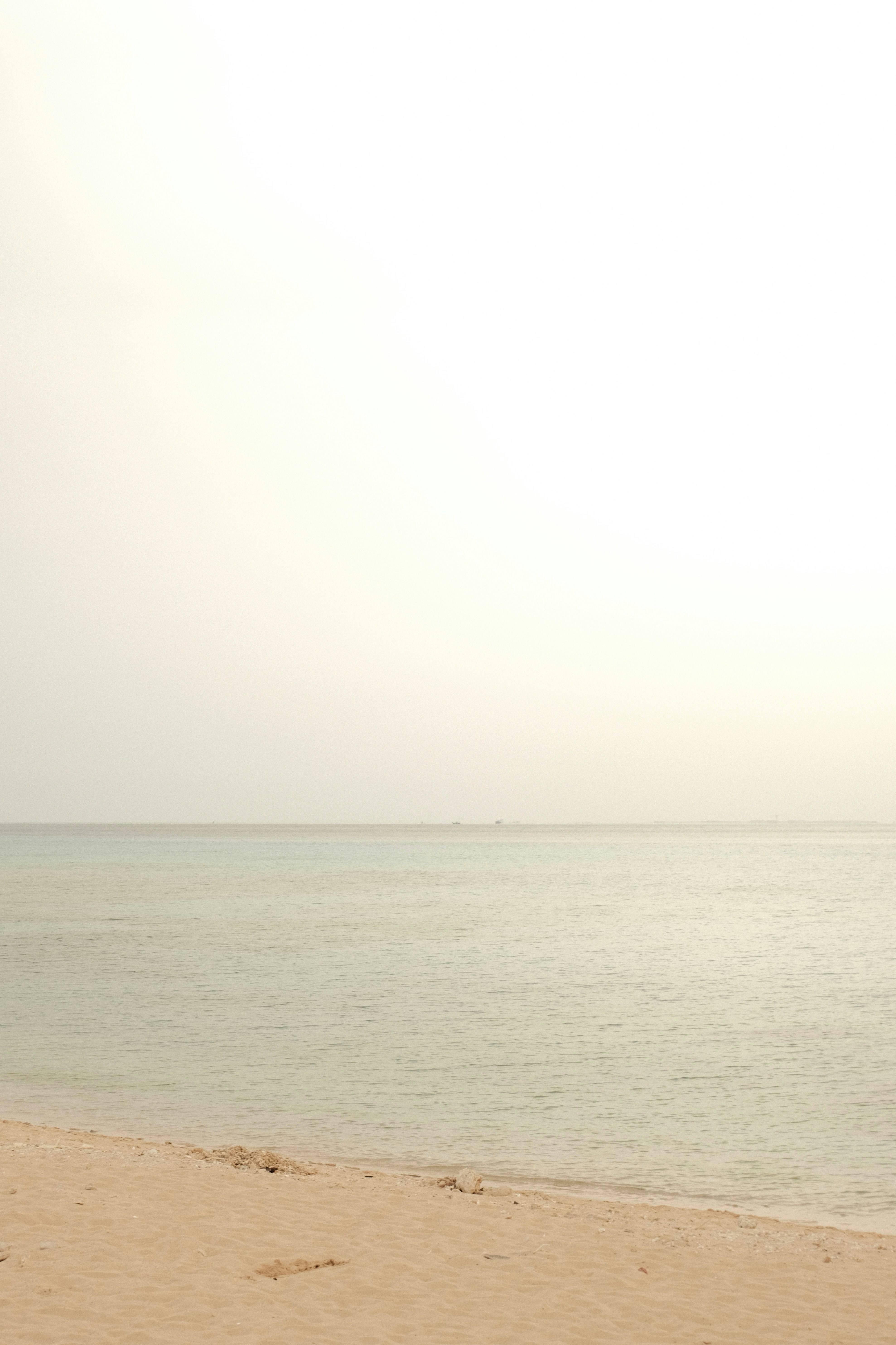 Photo by tatianarudneva