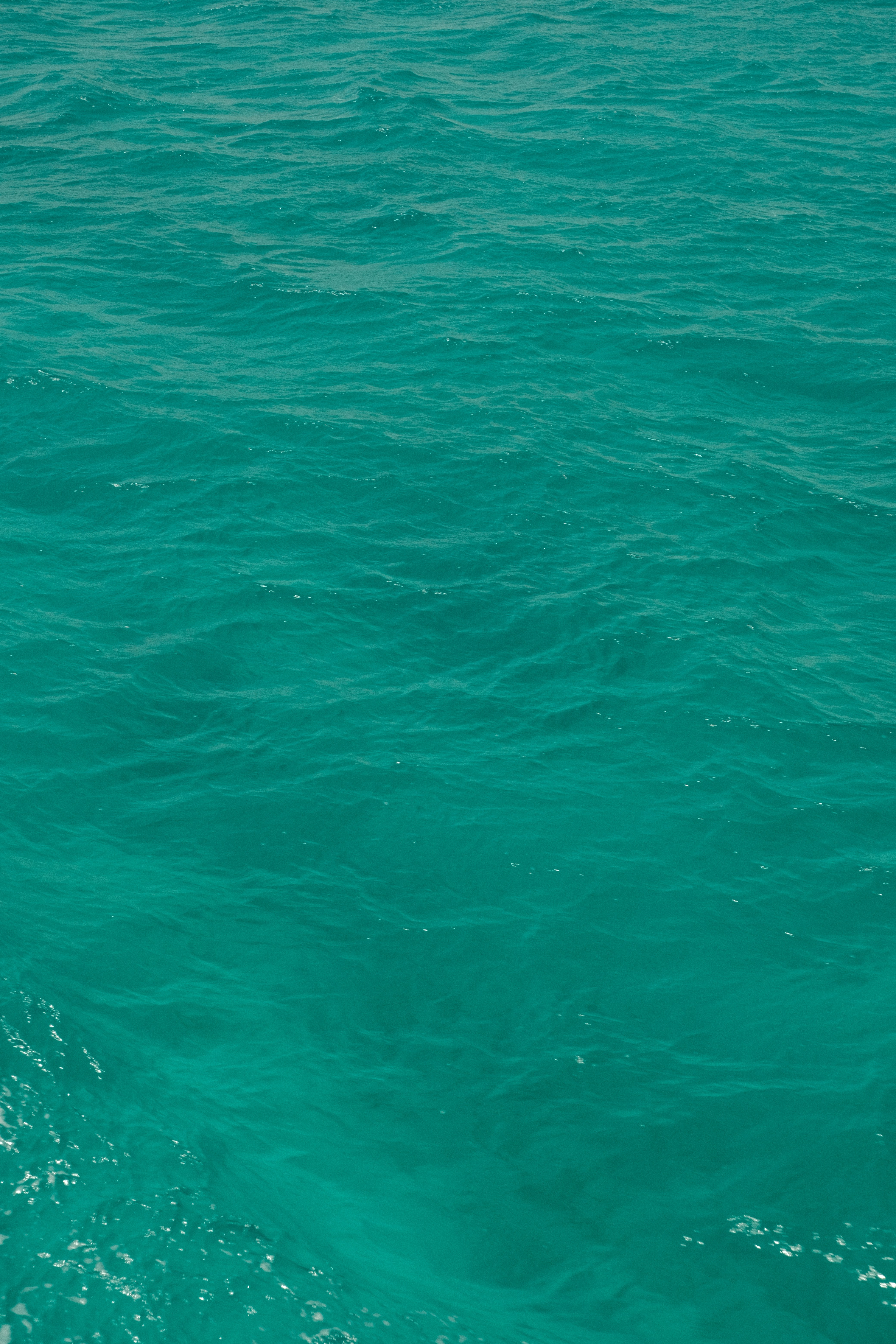 Photo by tatianarudneva