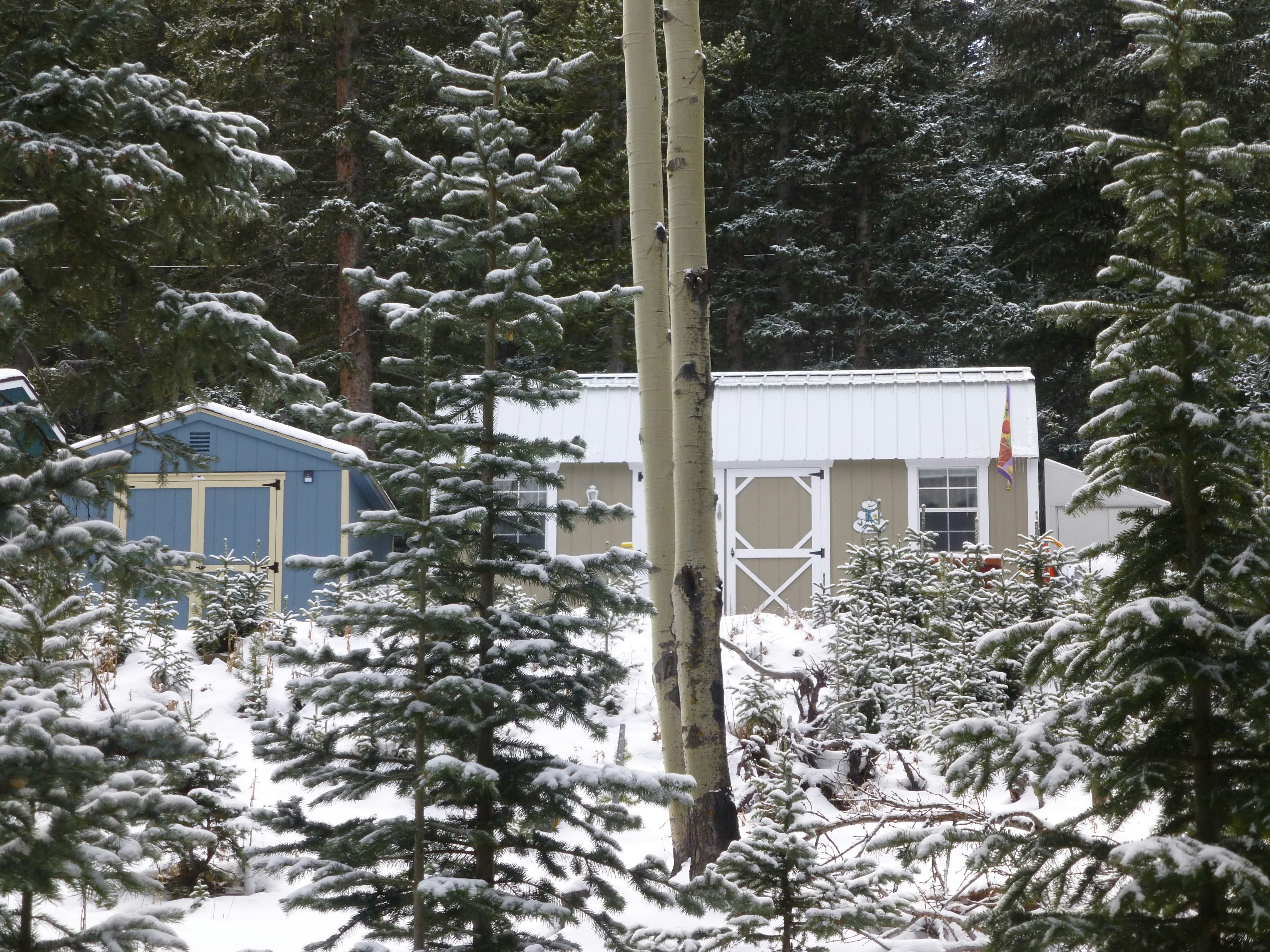 Photo by deniselynn_4