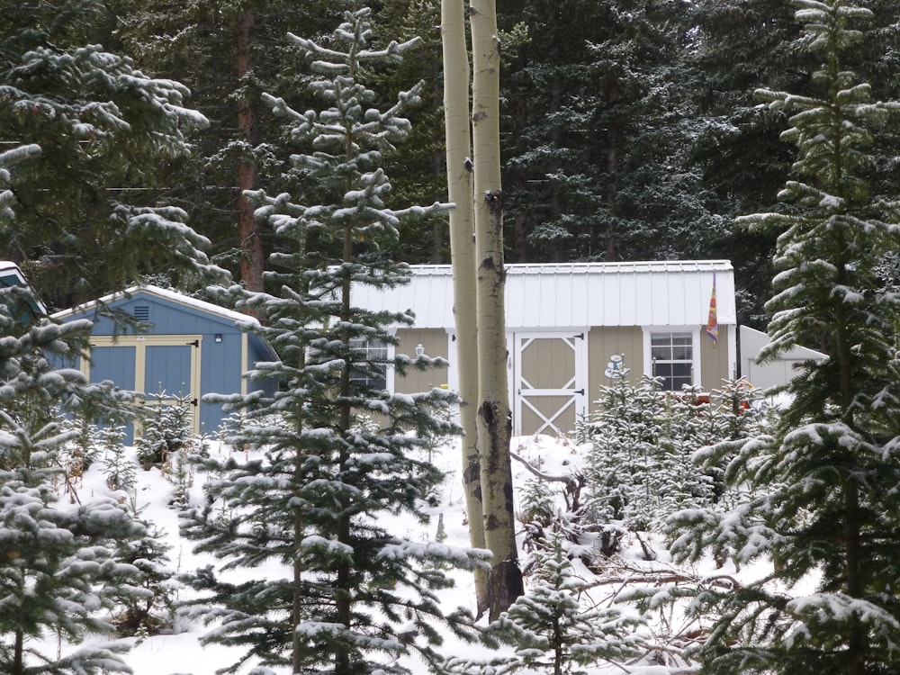 地面に雪が積もった森の中の小屋