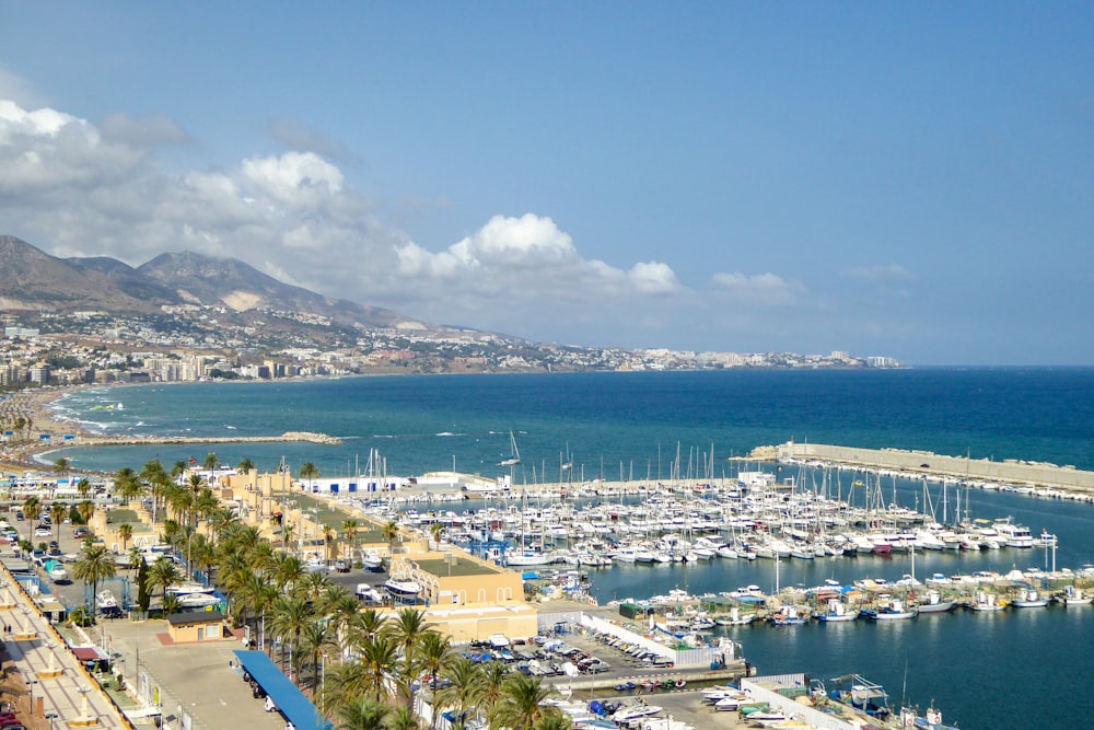 a marina filled with lots of boats and palm trees