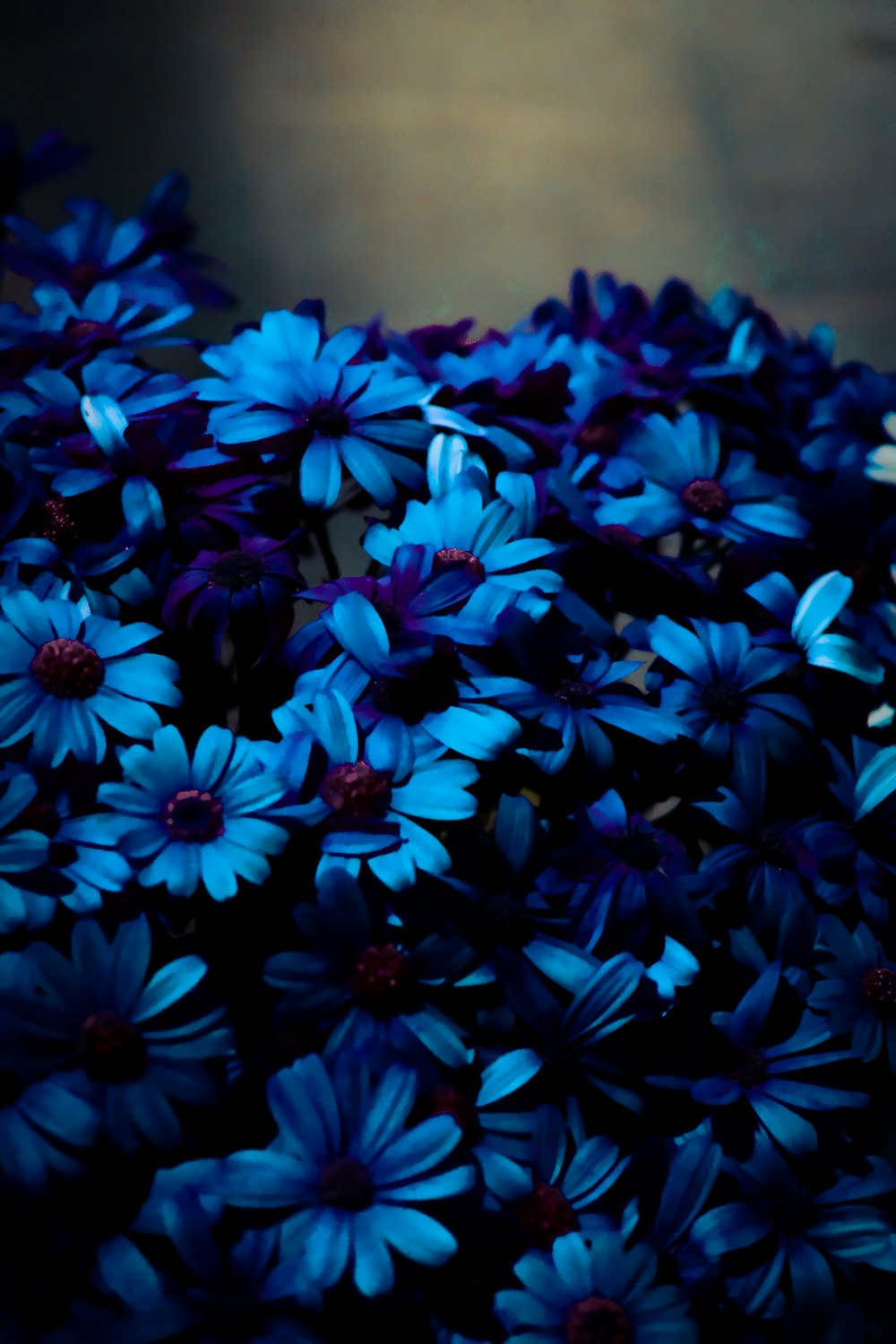 a bunch of blue flowers sitting on top of a table
