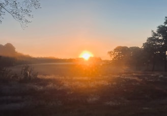 the sun is setting over a field with trees