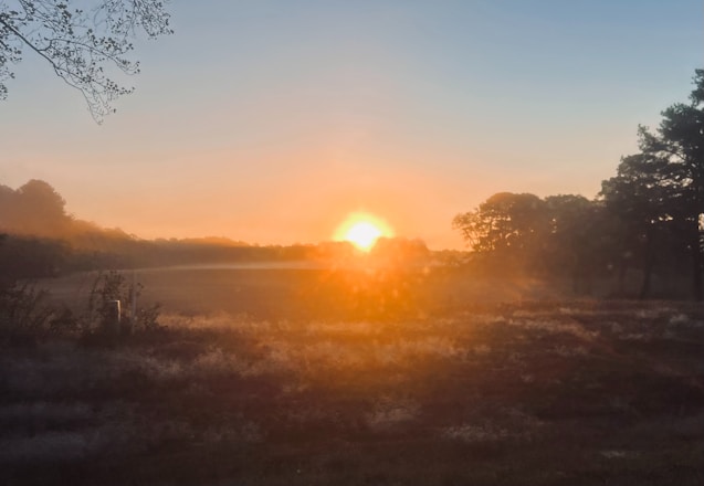 the sun is setting over a field with trees